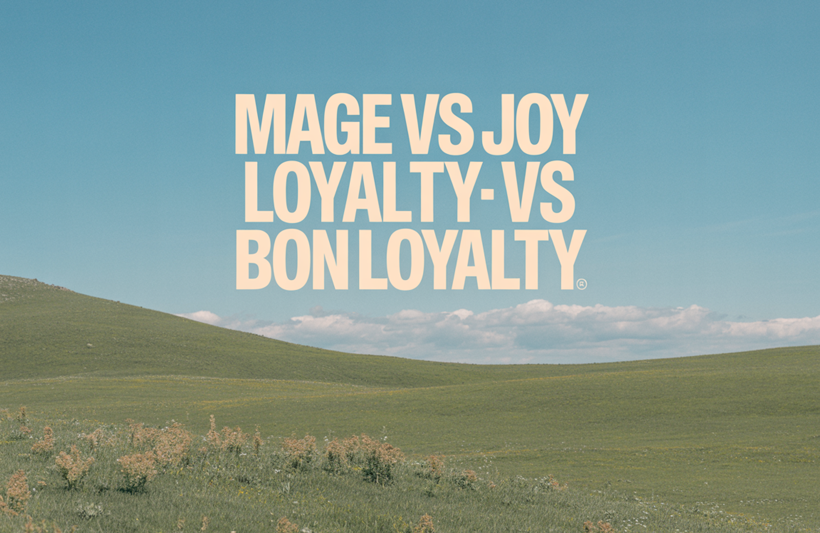 Mage vs Joy Loyalty vs BON Loyalty: 2026 Comparison