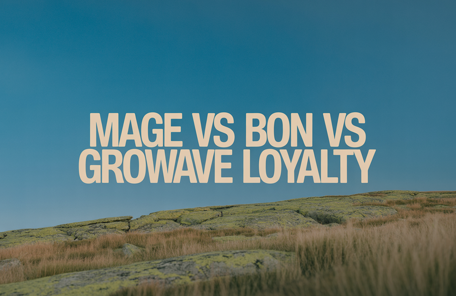 Mage vs BON Loyalty vs Growave: 2026 Comparison