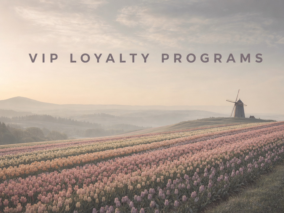Minimalist landscape with article title "VIP Loyalty Programs: How to Build a Top-Tier Customer Experience" displayed as text