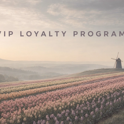 Minimalist landscape with article title "VIP Loyalty Programs: How to Build a Top-Tier Customer Experience" displayed as text