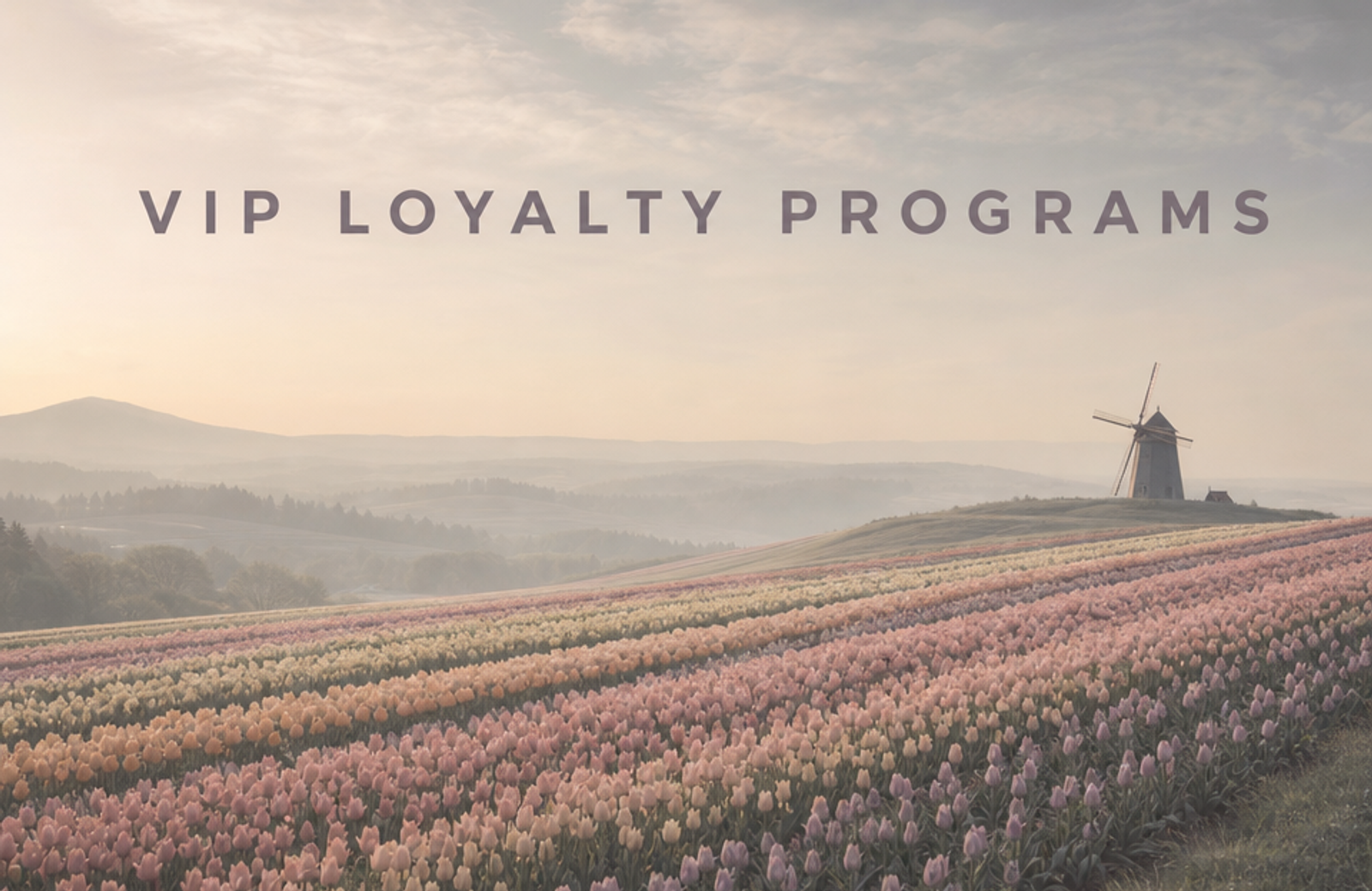 Minimalist landscape with article title "VIP Loyalty Programs: How to Build a Top-Tier Customer Experience" displayed as text