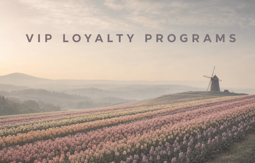 Minimalist landscape with article title "VIP Loyalty Programs: How to Build a Top-Tier Customer Experience" displayed as text