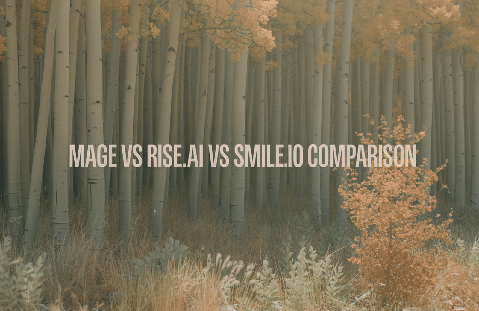 Mage vs Rise.ai vs Smile.io: 2026 Comparison