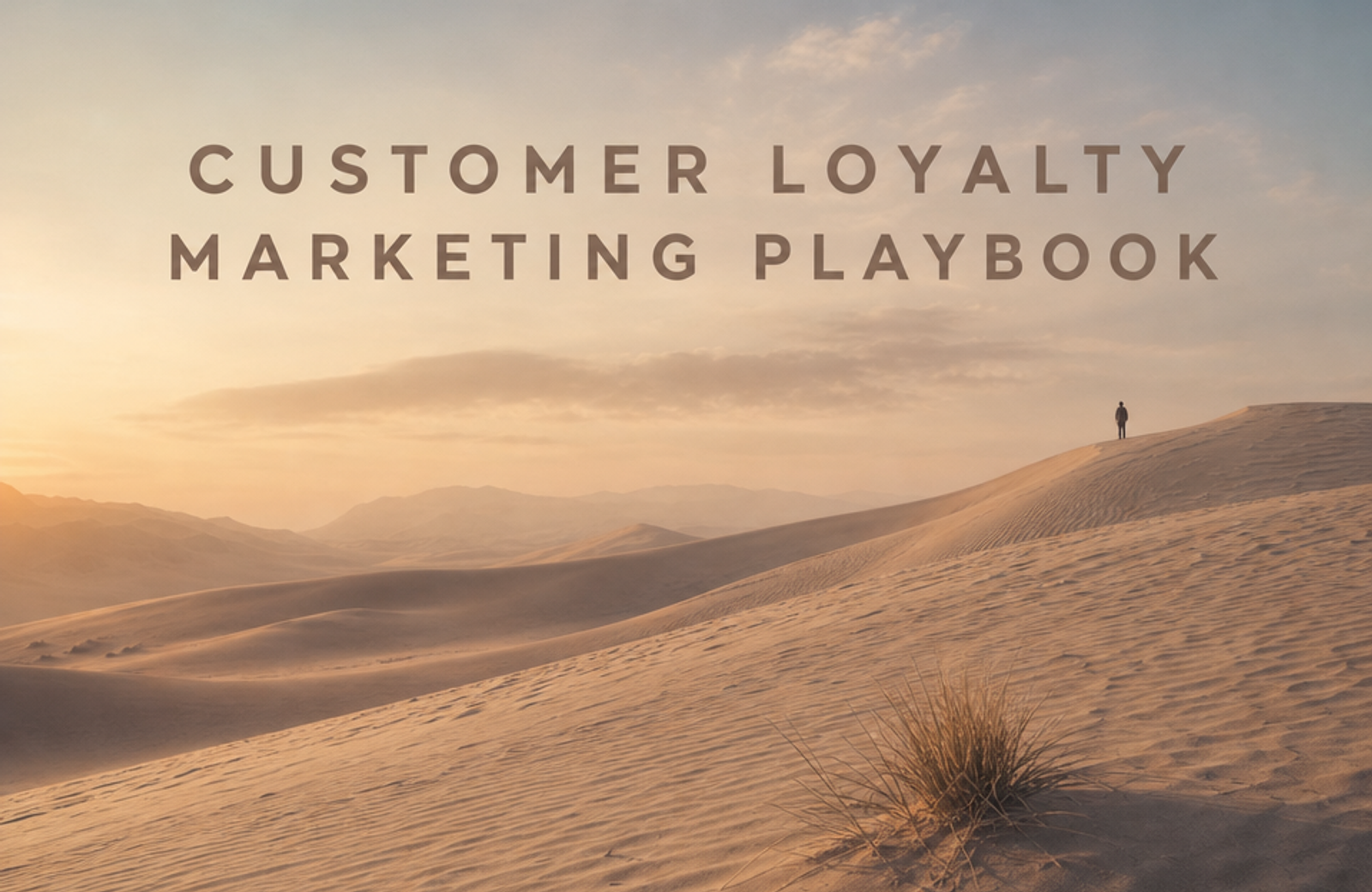 Customer Loyalty Marketing: A 2026 Playbook for Shopify Brands