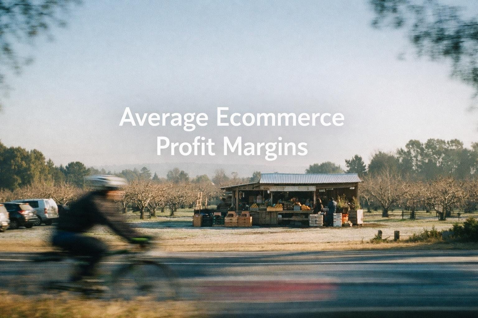 Average ecommerce profit margins in 2026, a minimalist cinematic landscape with the title in the sky