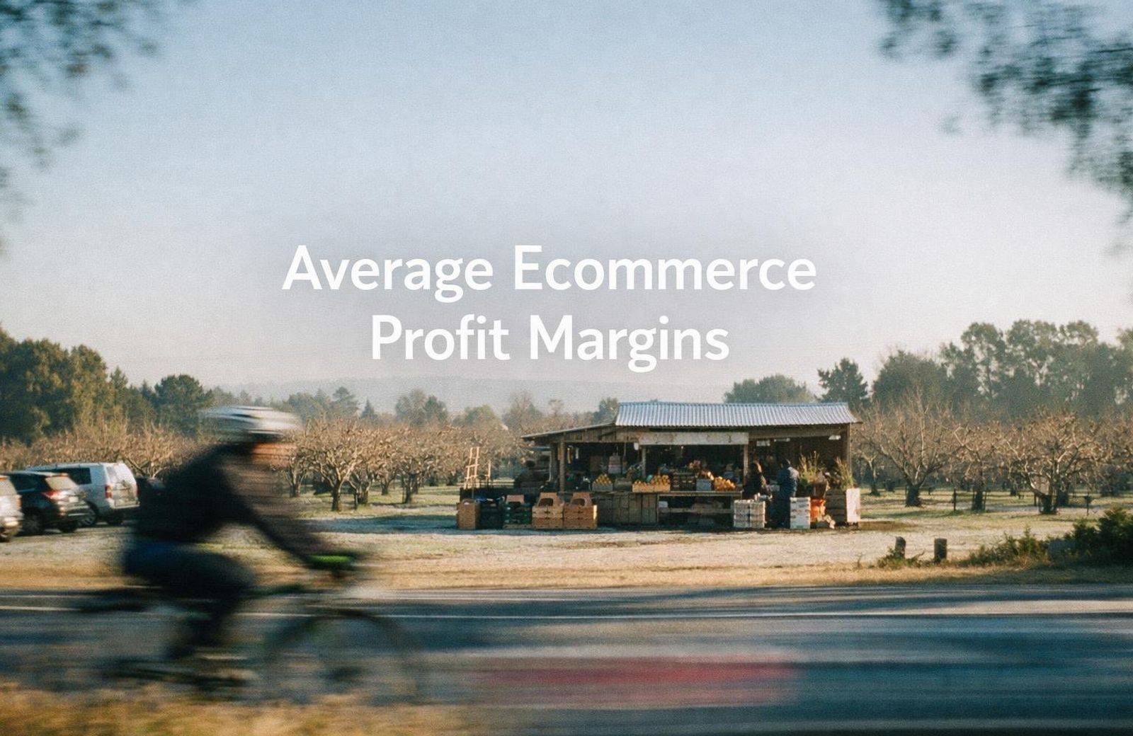 Average ecommerce profit margins in 2026, a minimalist cinematic landscape with the title in the sky