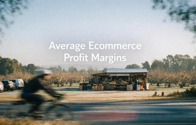 Average ecommerce profit margins in 2026, a minimalist cinematic landscape with the title in the sky
