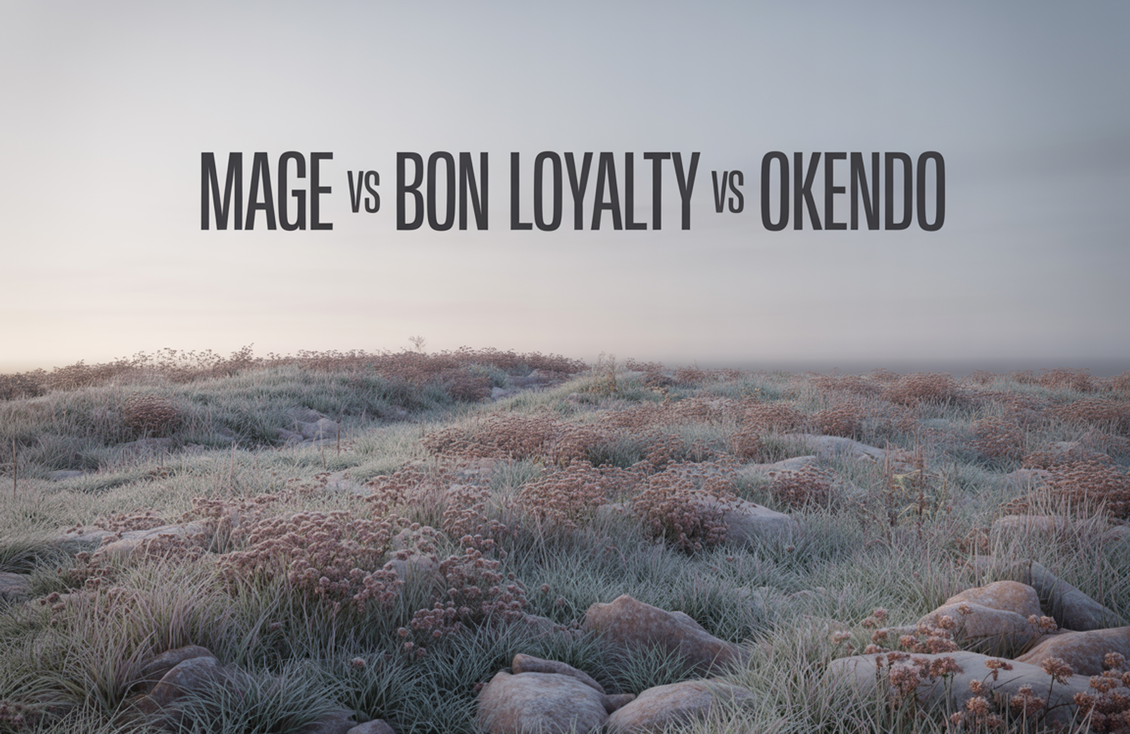 Mage vs BON Loyalty vs Okendo: 2026 Comparison