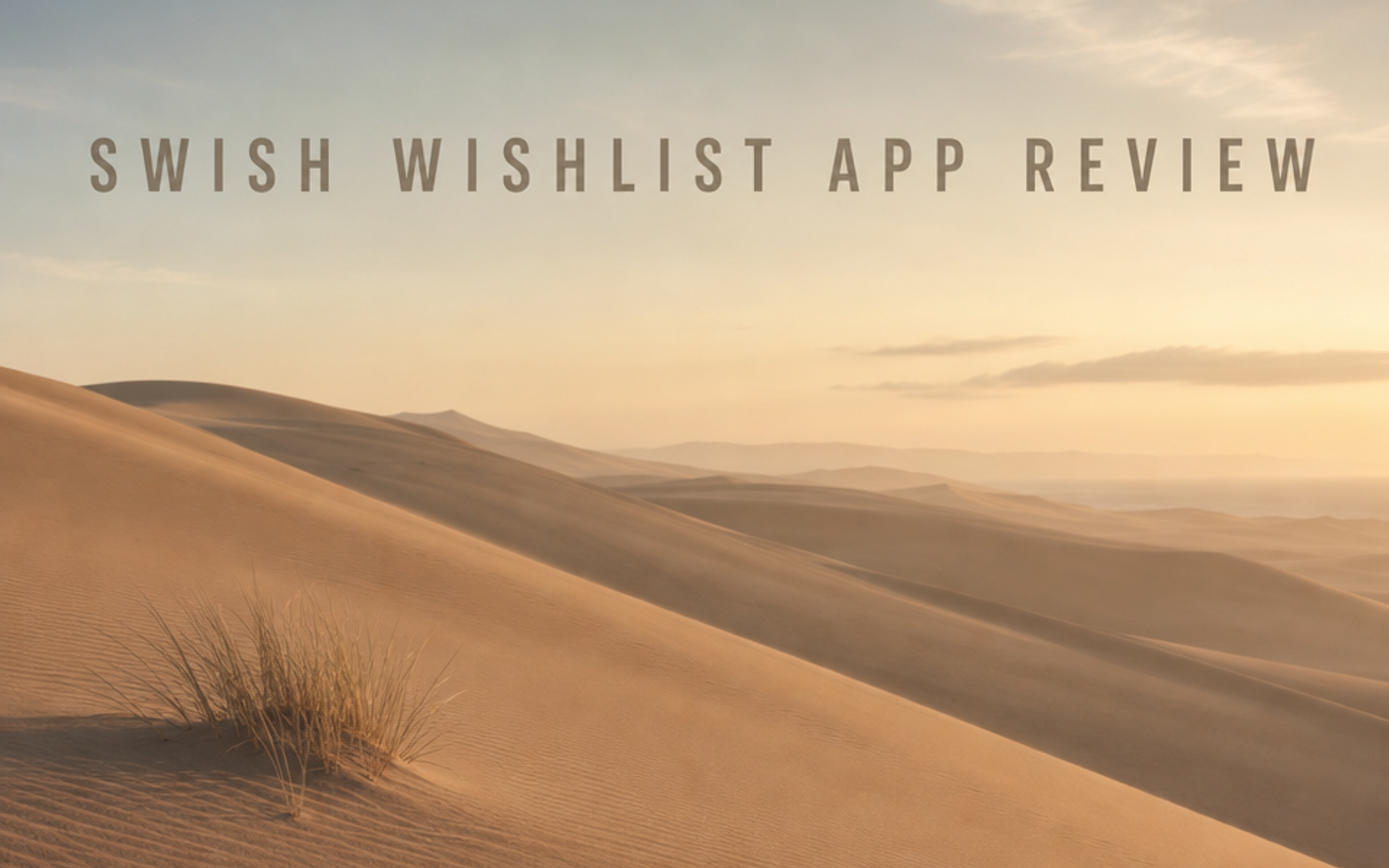 Illustration representing a Swish (Wishlist King) Shopify wishlist app review
