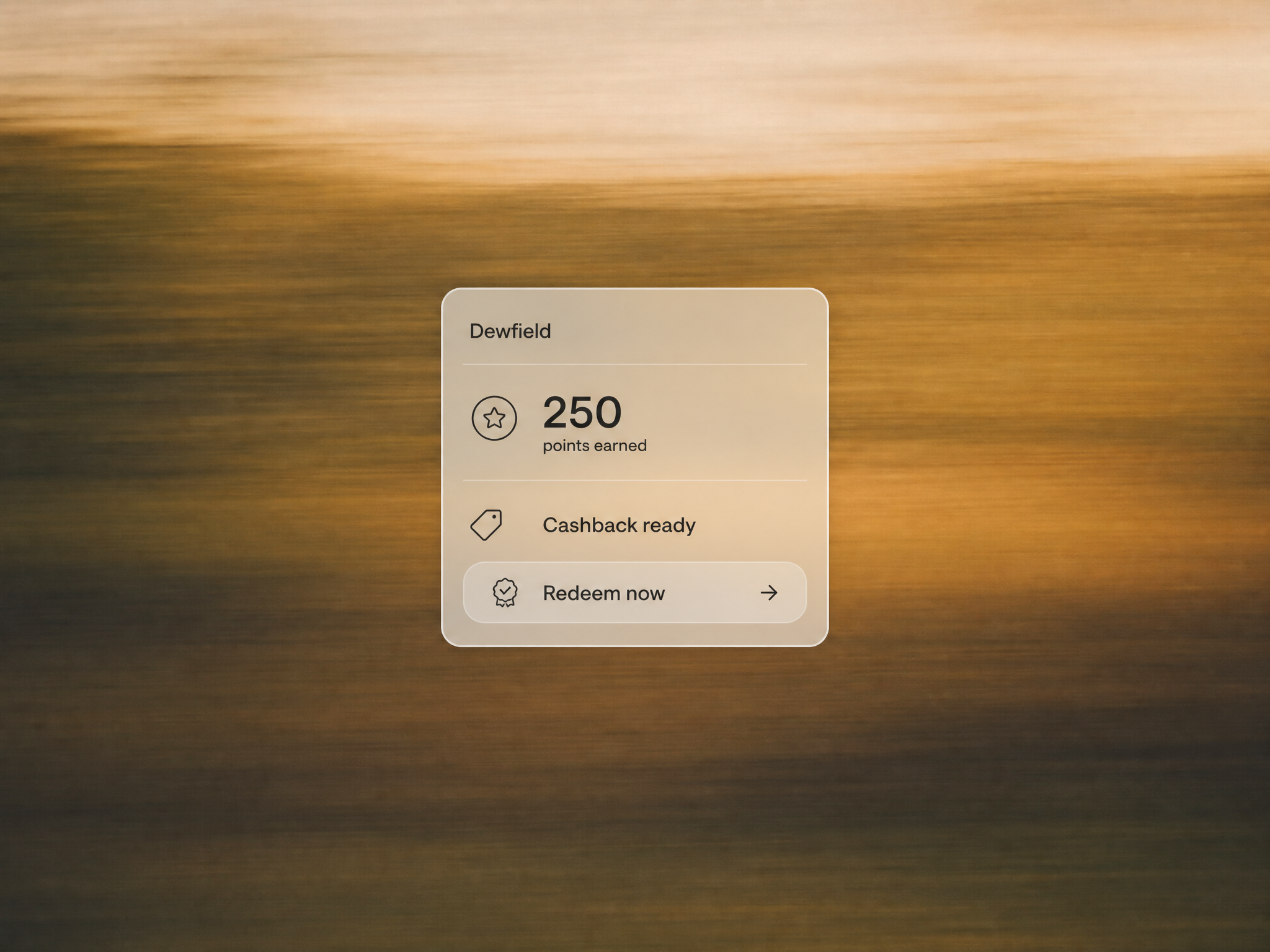 Best Shopify Loyalty Apps with Store Credit Functionality