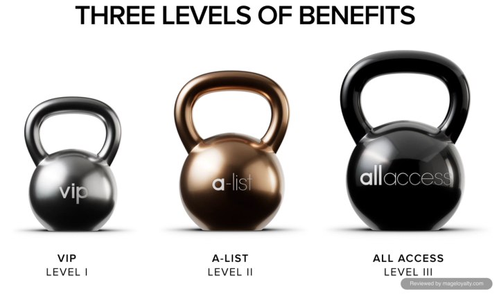 ALO Access three levels of benefits: VIP Level I, A-List Level II and All Access Level III