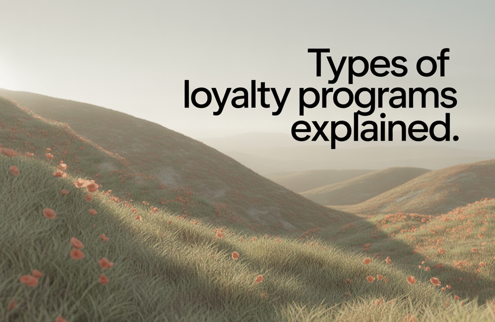 Types of Loyalty Programs: 7 Models Explained