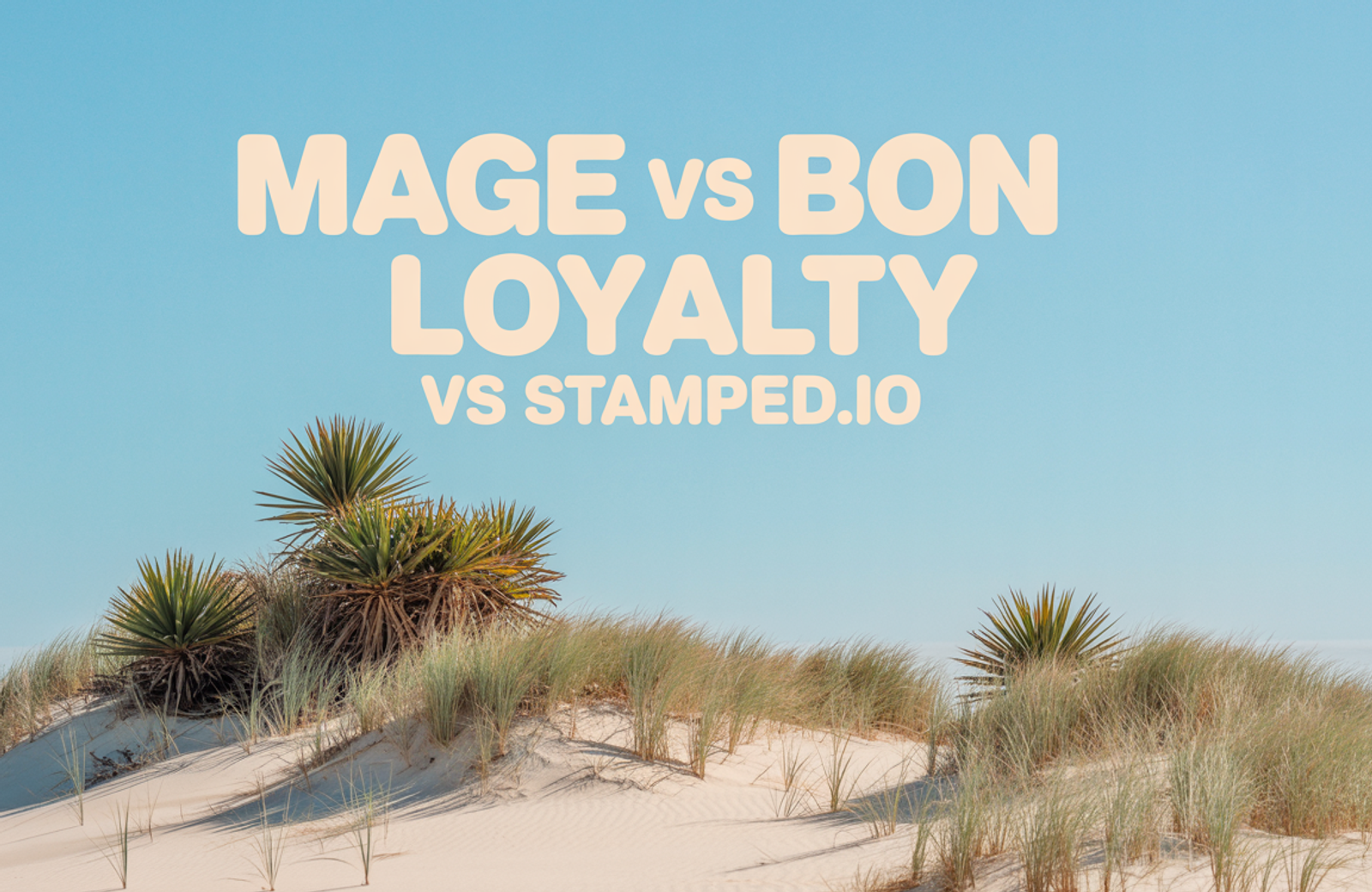 Mage vs BON Loyalty vs Stamped.io: 2026 Comparison