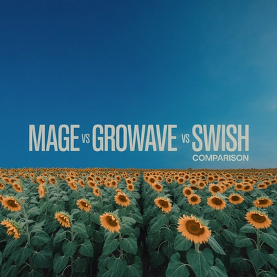 Mage vs Growave vs Swish (Wishlist King): 2026 Comparison