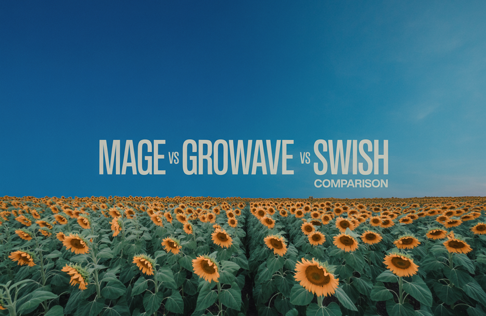Mage vs Growave vs Swish (Wishlist King): 2026 Comparison