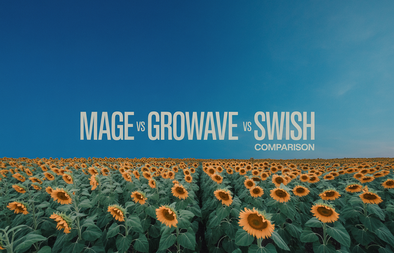 Mage vs Growave vs Swish (Wishlist King): 2026 Comparison