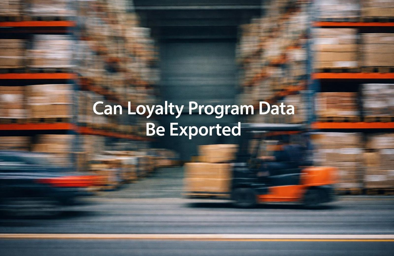 White text reading “Can Loyalty Program Data Be Exported” over a soft gradient background.