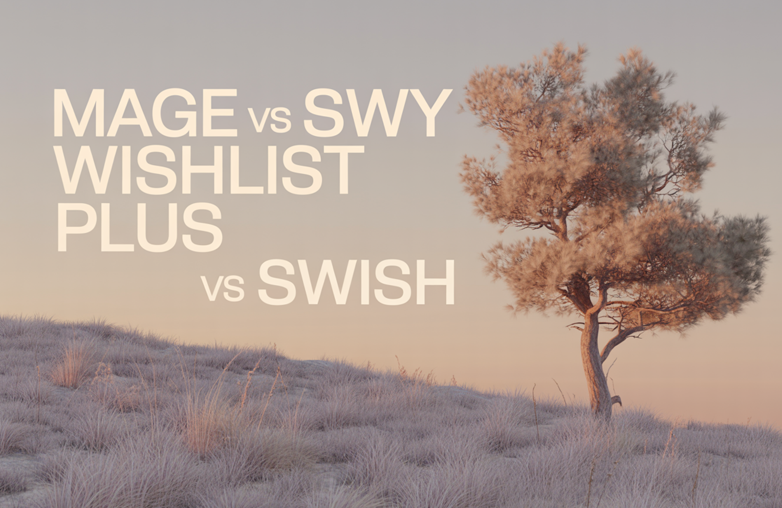 Mage vs Swym Wishlist Plus vs Swish (Wishlist King): 2026 Comparison
