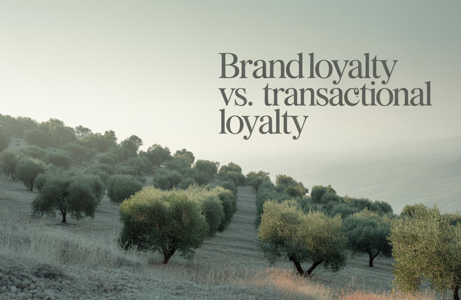 Brand Loyalty vs. Transactional Loyalty: What Actually Drives Long-Term Growth