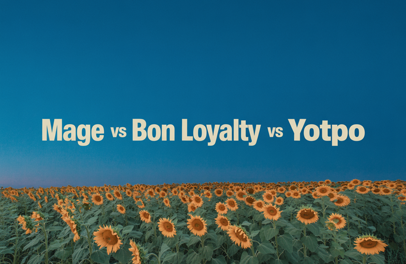 Mage vs BON Loyalty vs Yotpo: 2026 Comparison