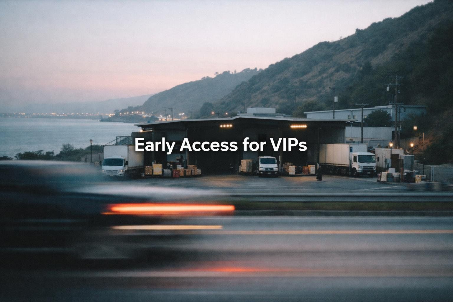 Early Access for VIPs: The Black Friday Play That Protects Margin