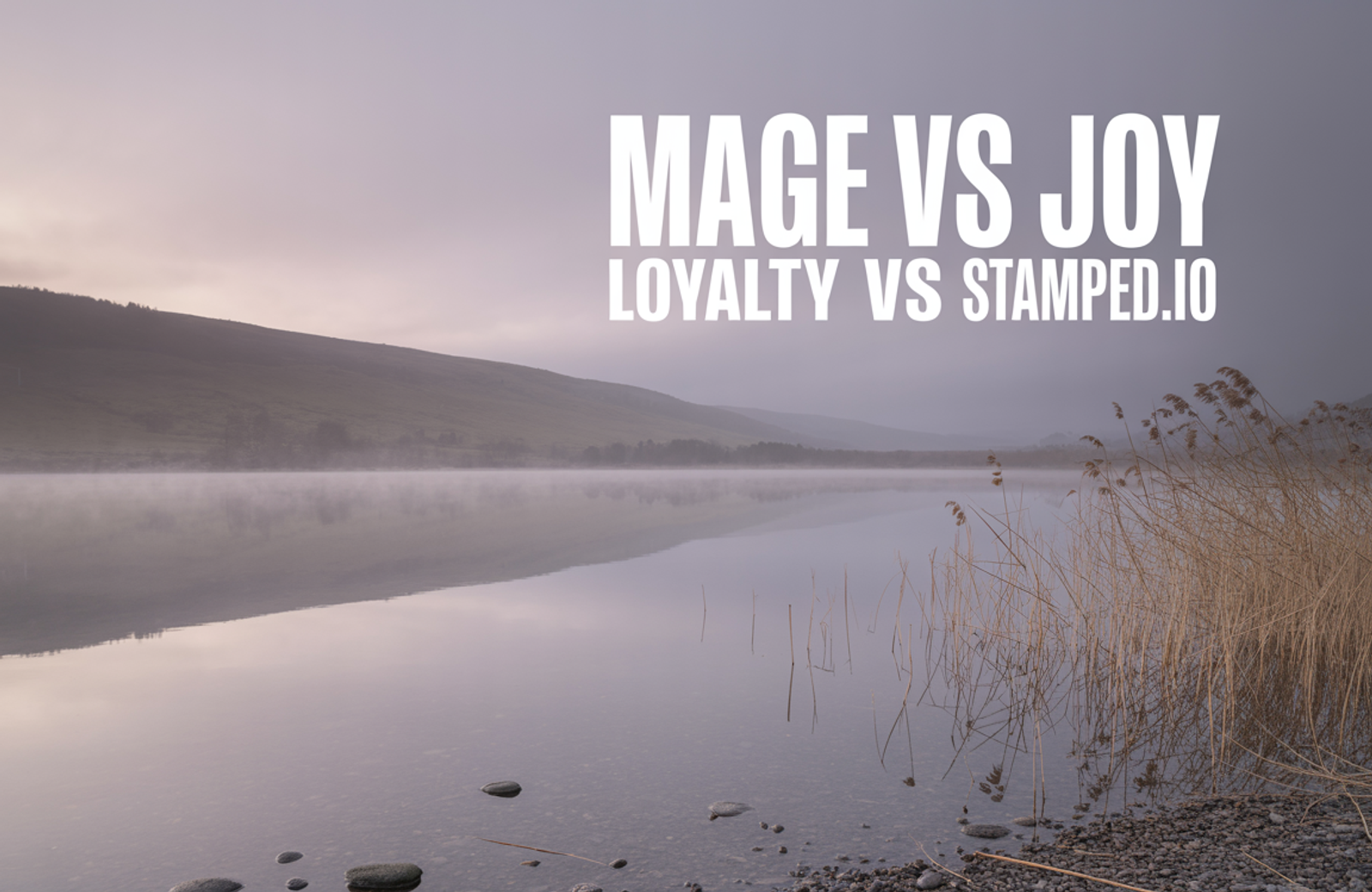 Mage vs Joy Loyalty vs Stamped.io: 2026 Comparison
