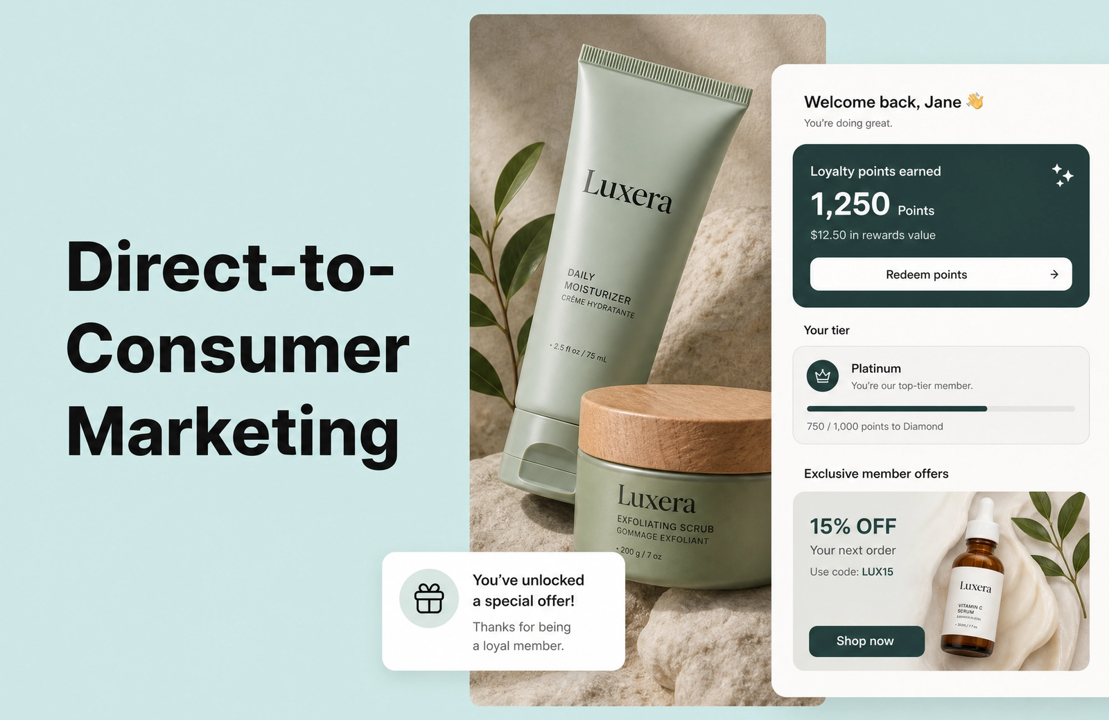 Direct-to-Consumer Marketing: A Complete Guide for 2026: a minimalist cinematic landscape with the title in the sky
