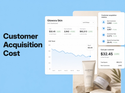 Customer Acquisition Cost (CAC): Formula, Guide & Examples: a minimalist cinematic landscape with the title in the sky