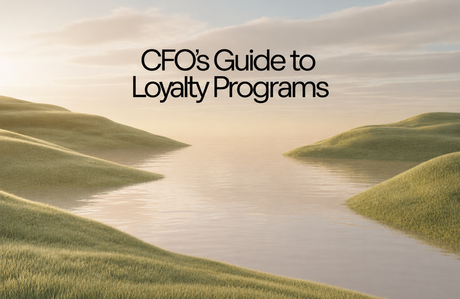 The CFO's Guide to Loyalty Programs: Costs, Returns, and Financial Impact