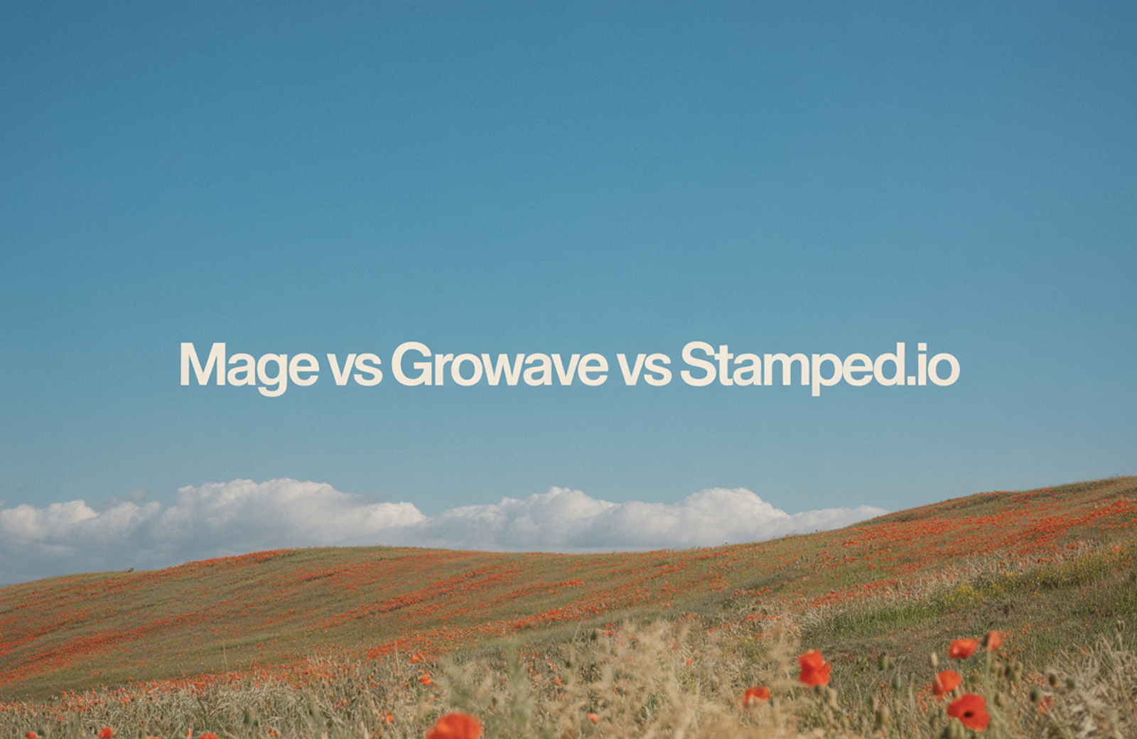Mage vs Growave vs Stamped.io: 2026 Comparison