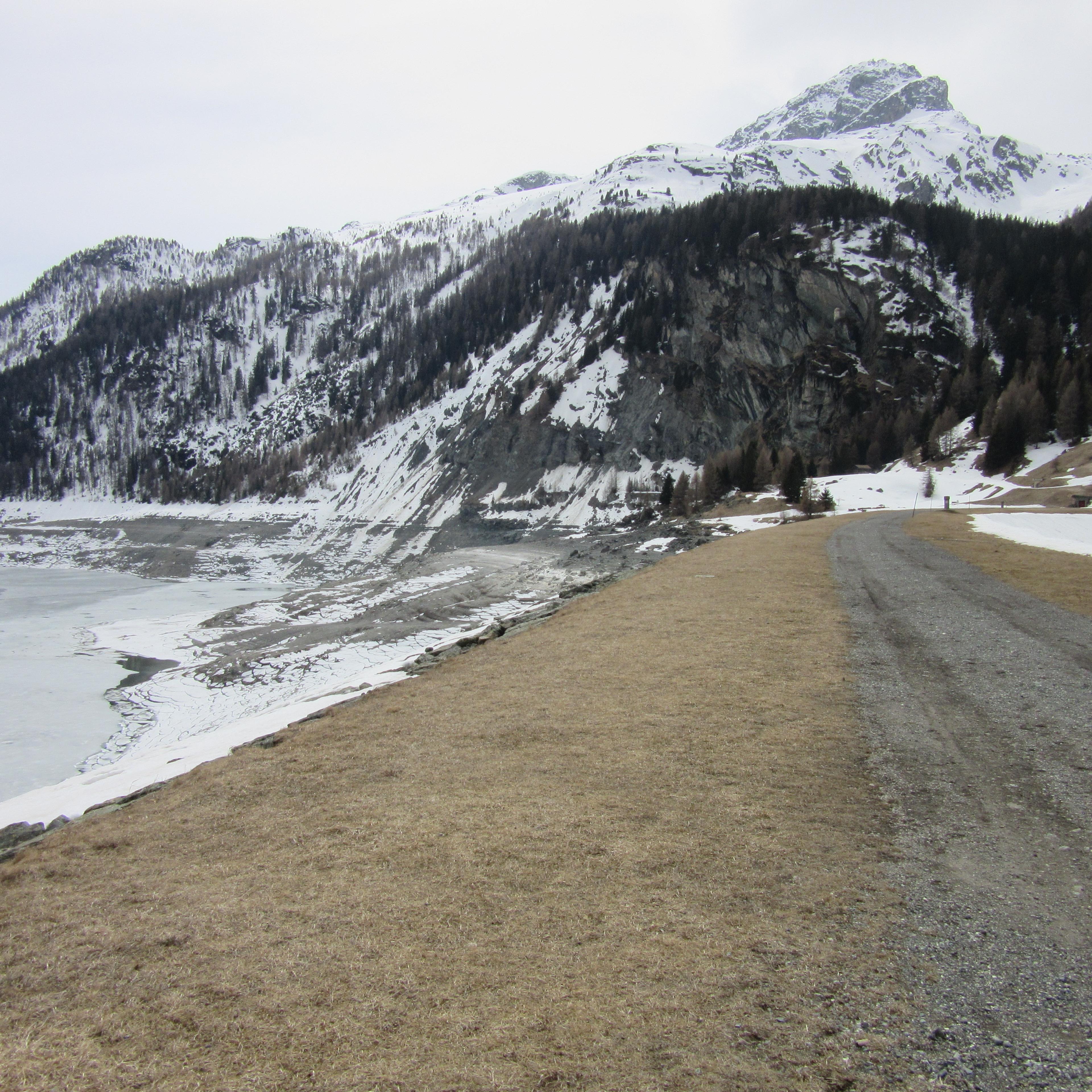 56301_Marmorera_6_IMG_2265_cTW_Thomas Weber.JPG