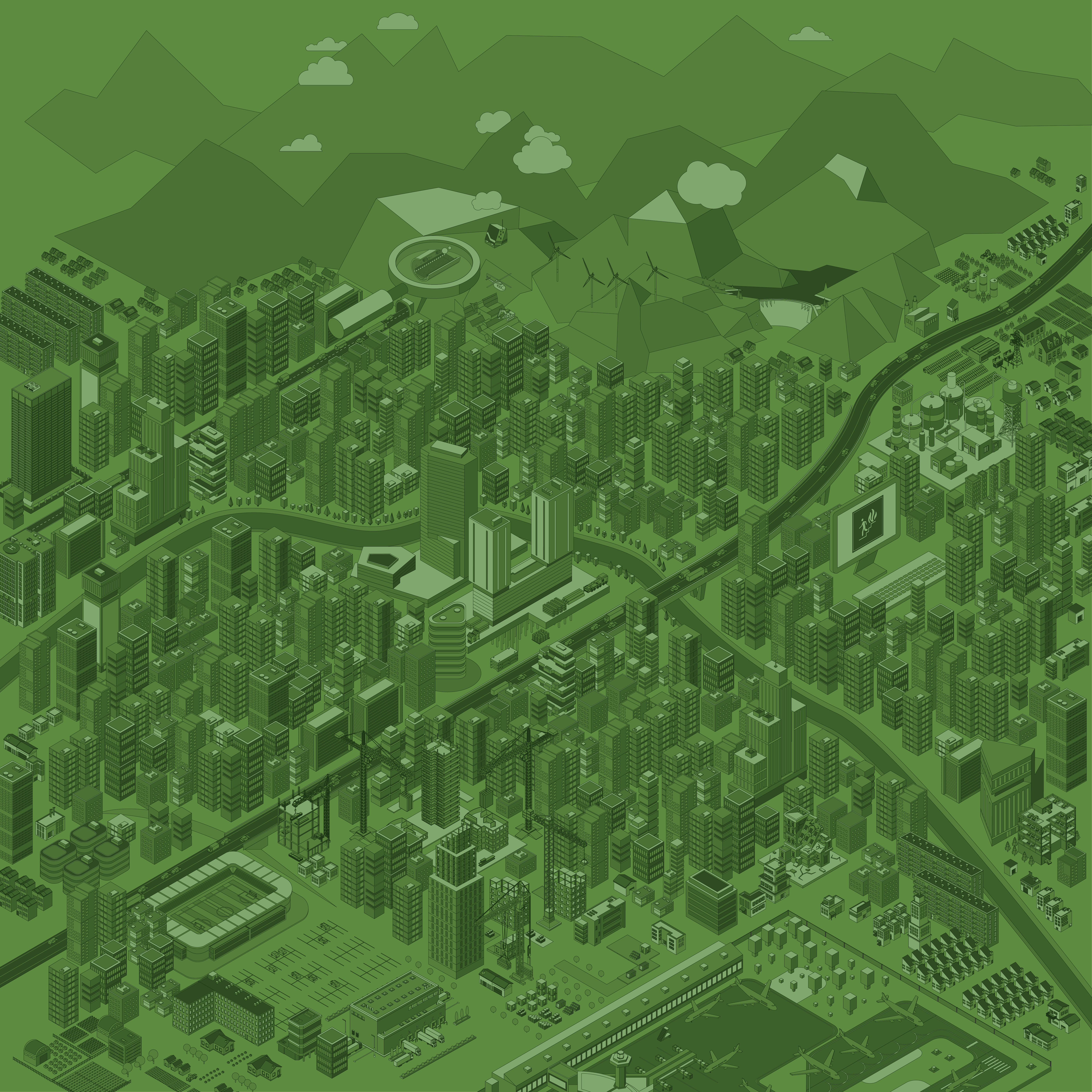 Zostera Illustration