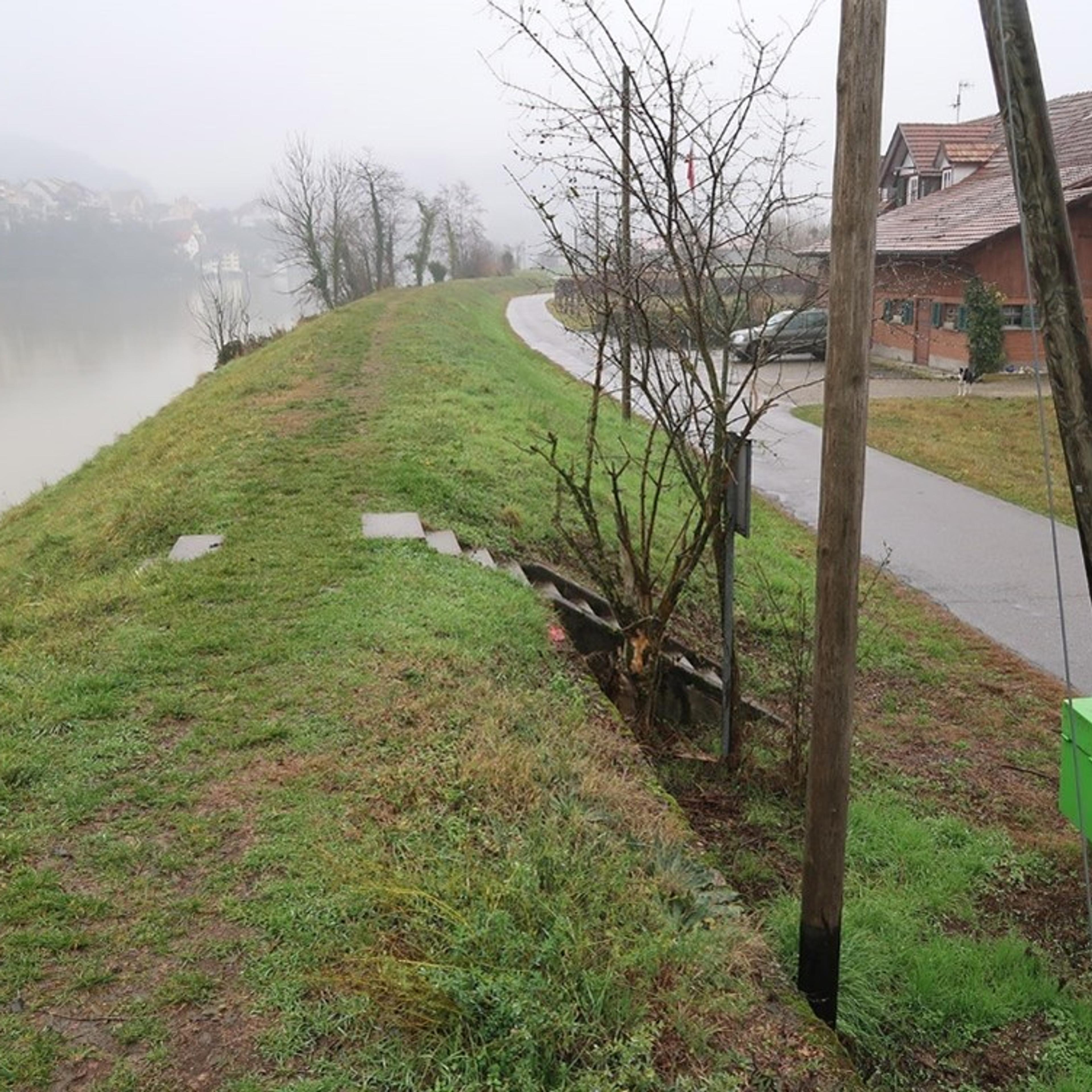 56360_RADAG_1_Thomas Weber.jpg