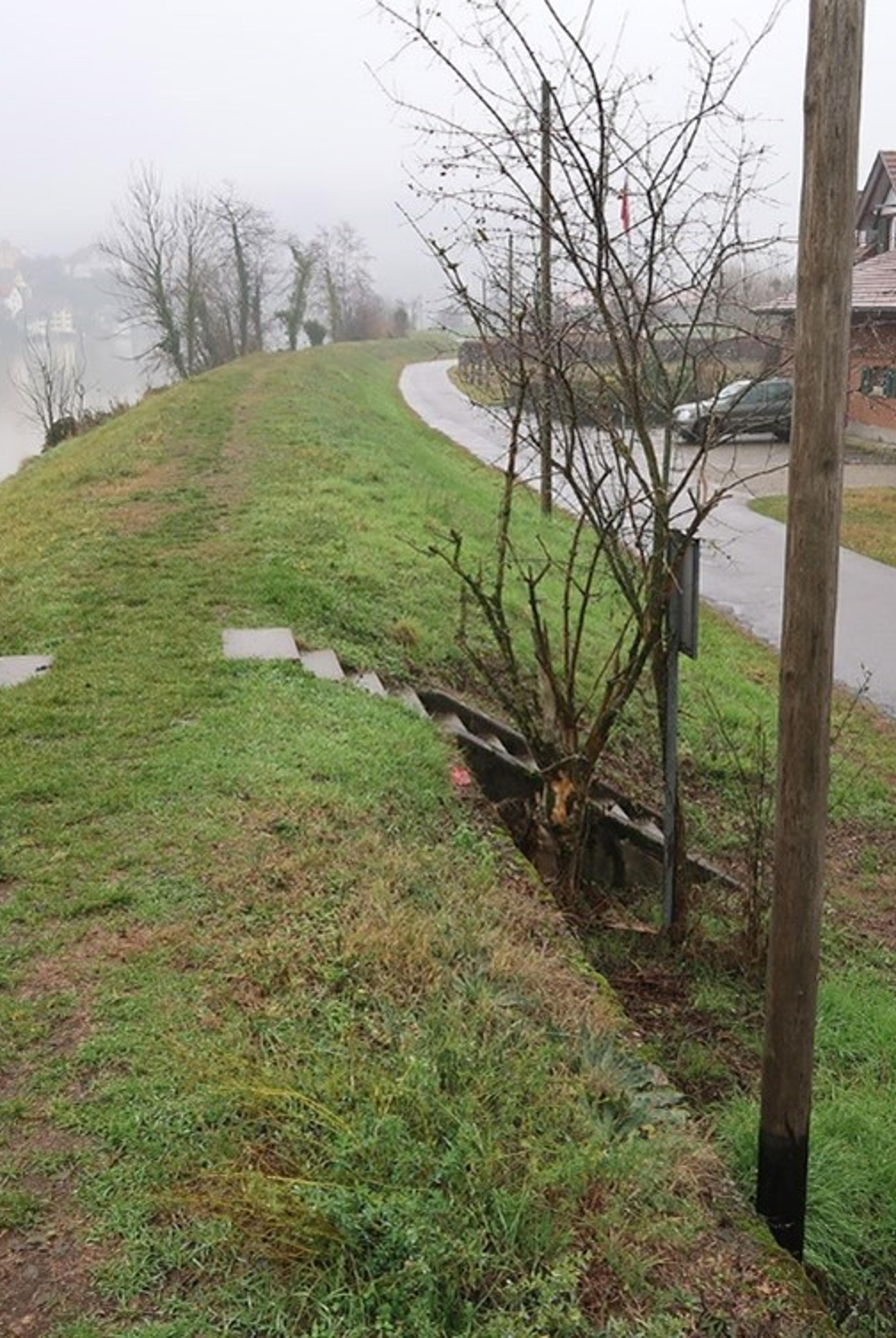 56360_RADAG_1_Thomas Weber.jpg