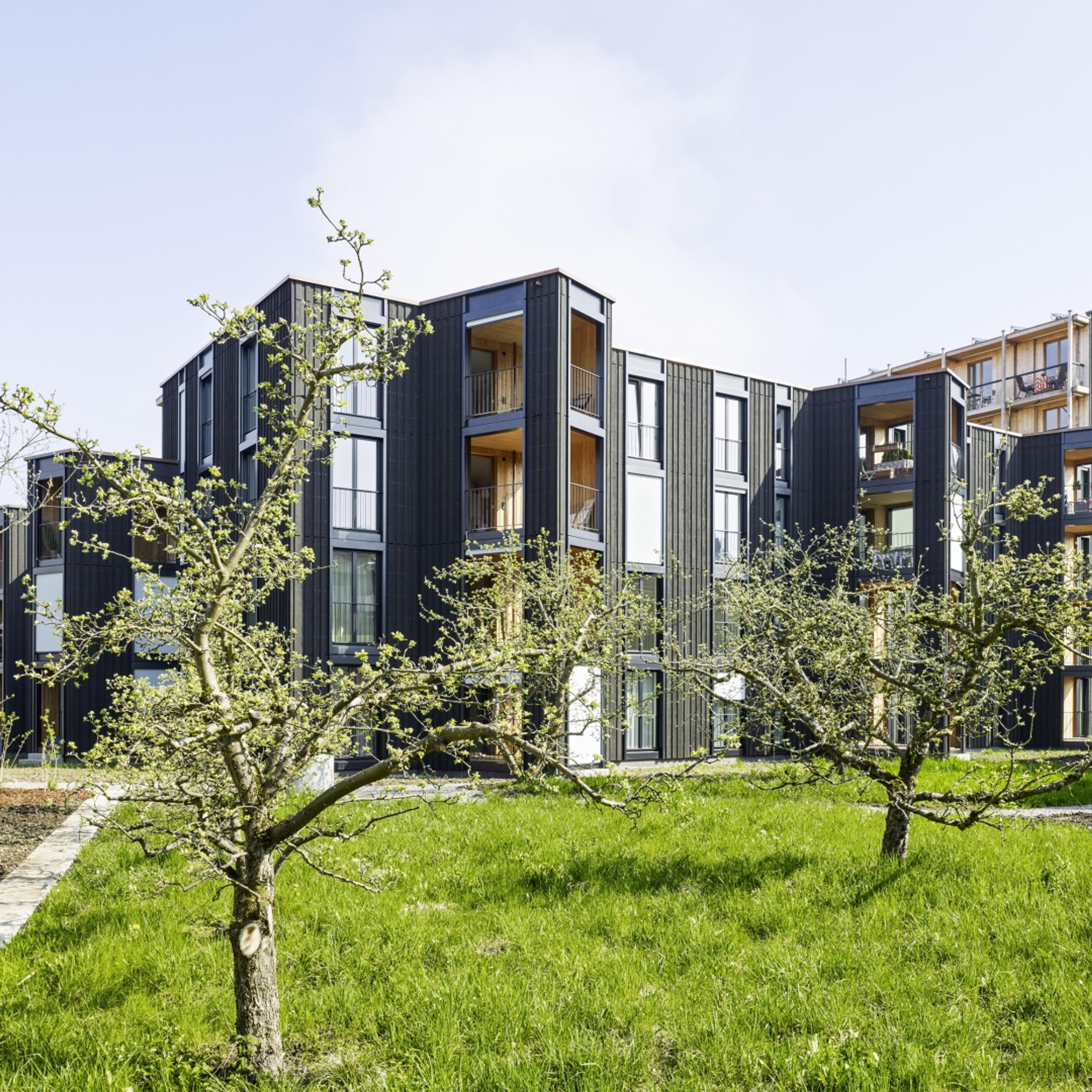 12.187_c_Georg Aerni_image3_Andreas Kocher.jpg