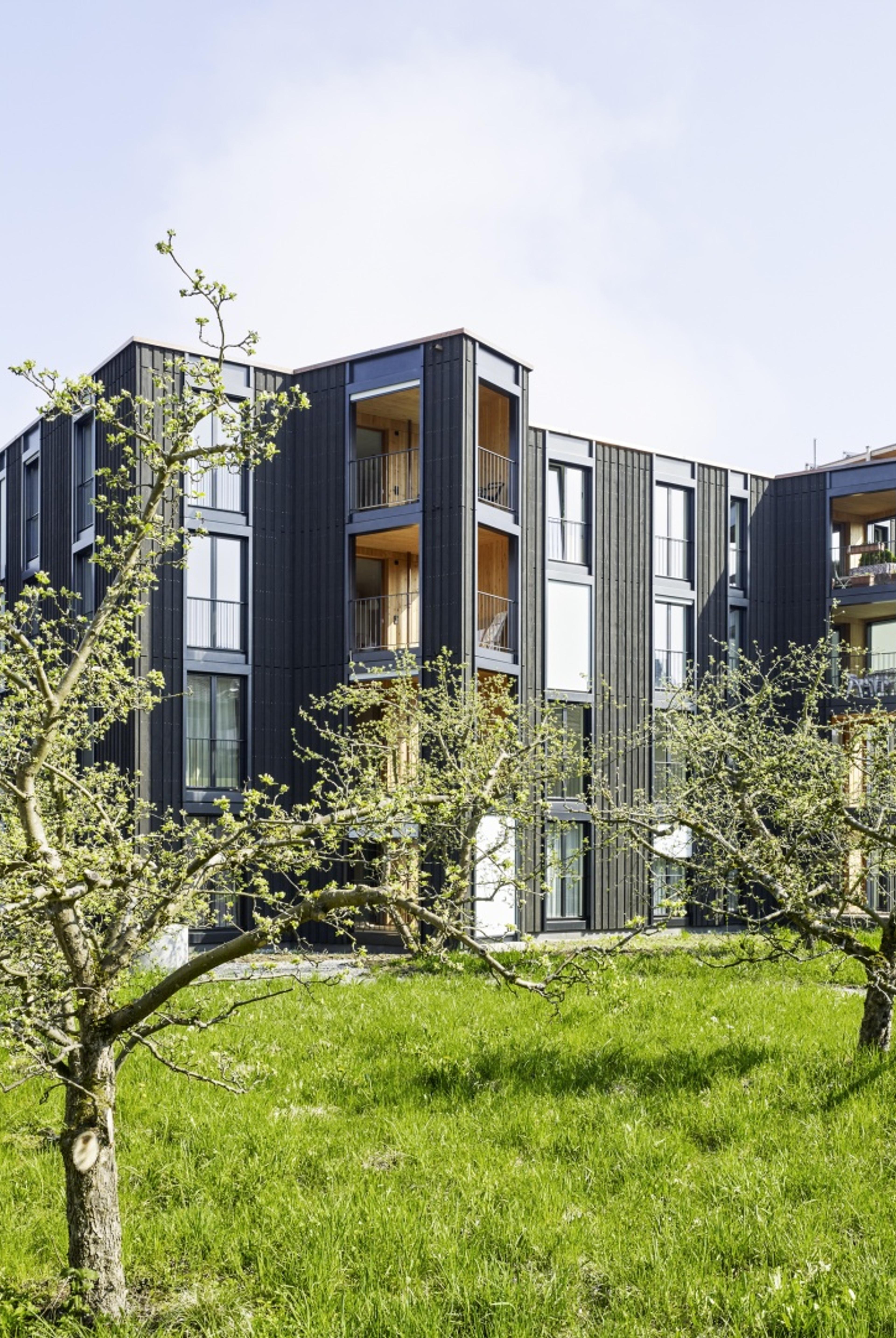 12.187_c_Georg Aerni_image3_Andreas Kocher.jpg