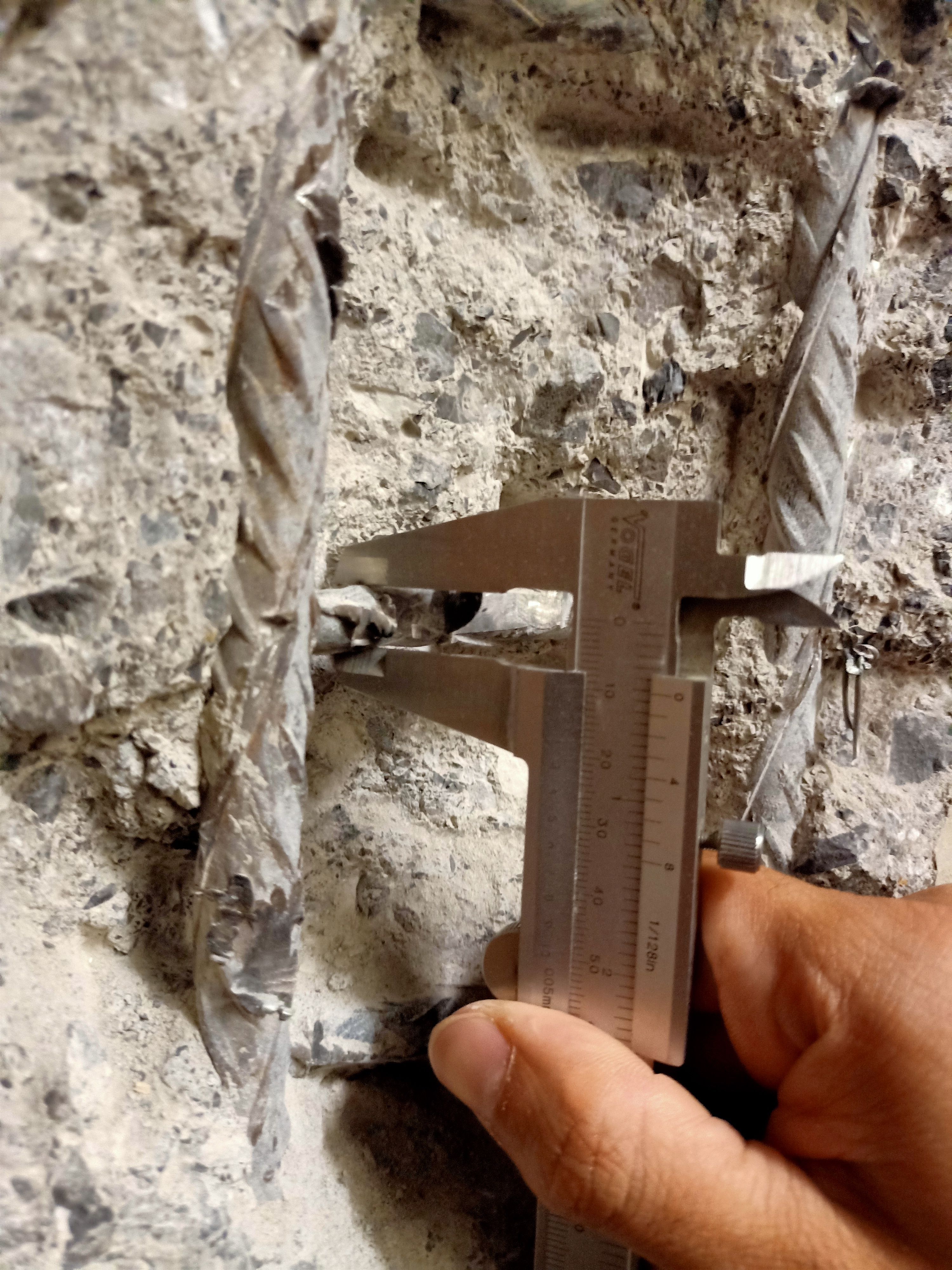 65042_3_Roger Meier.jpg