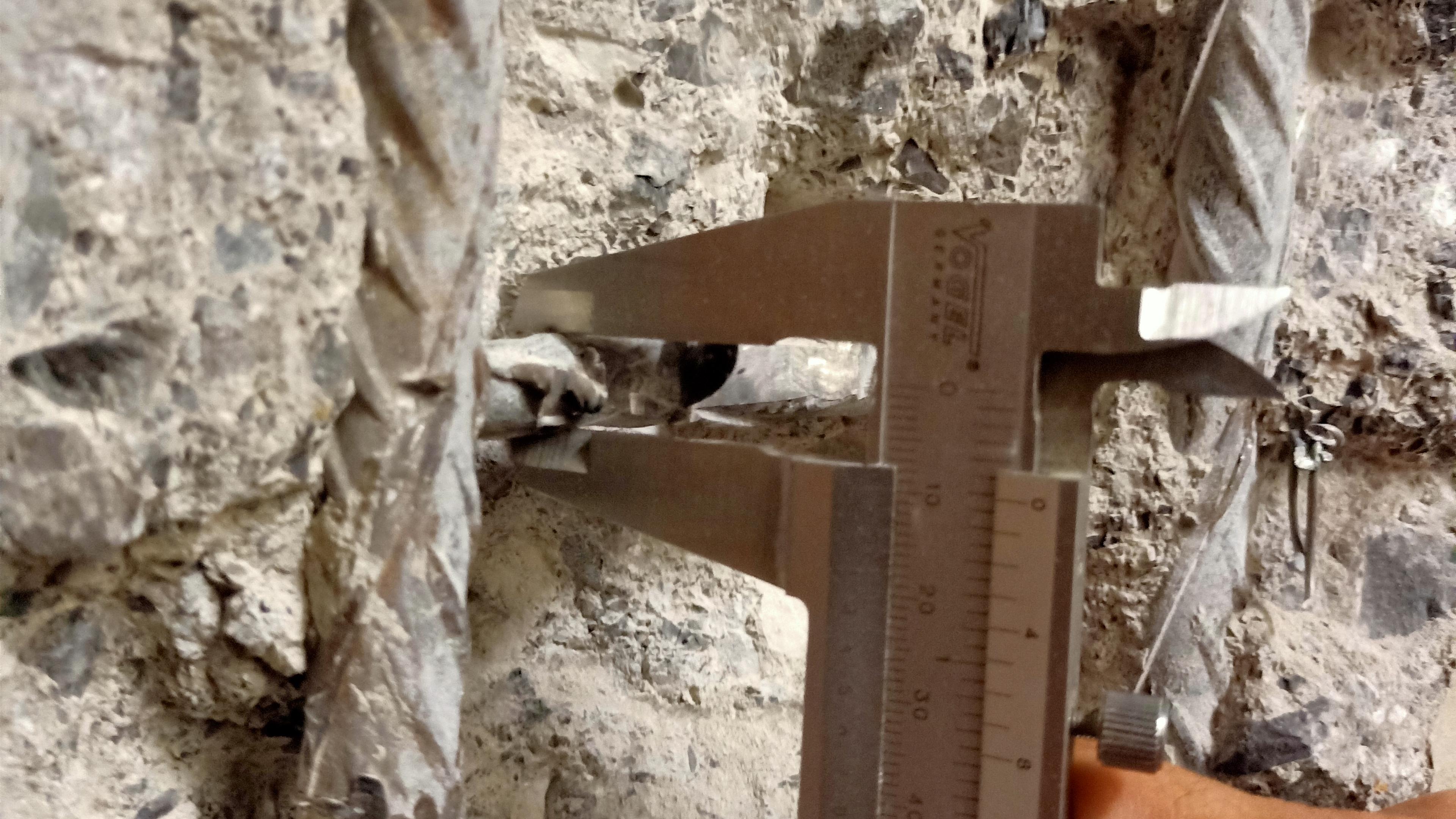 65042_3_Roger Meier.jpg