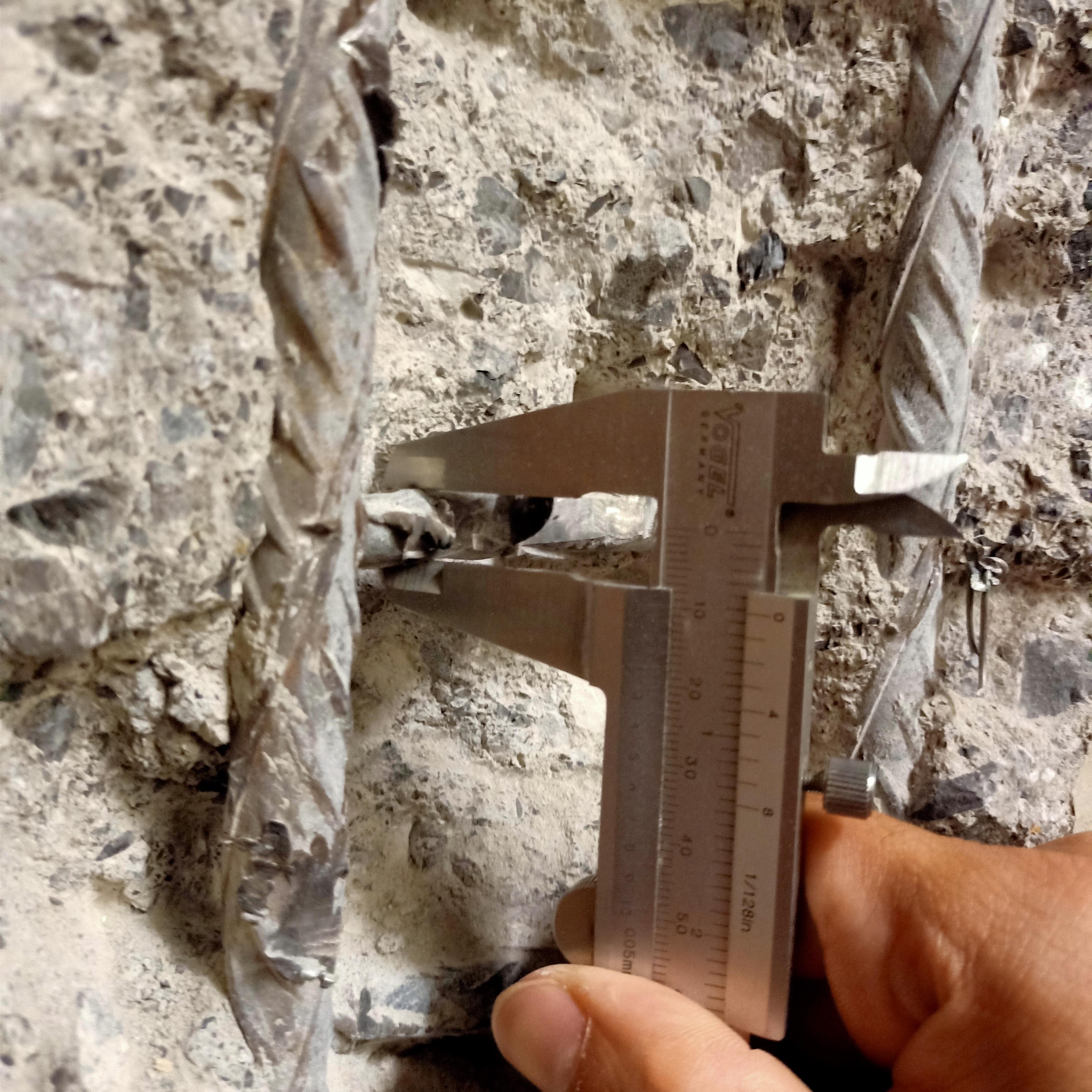 65042_3_Roger Meier.jpg