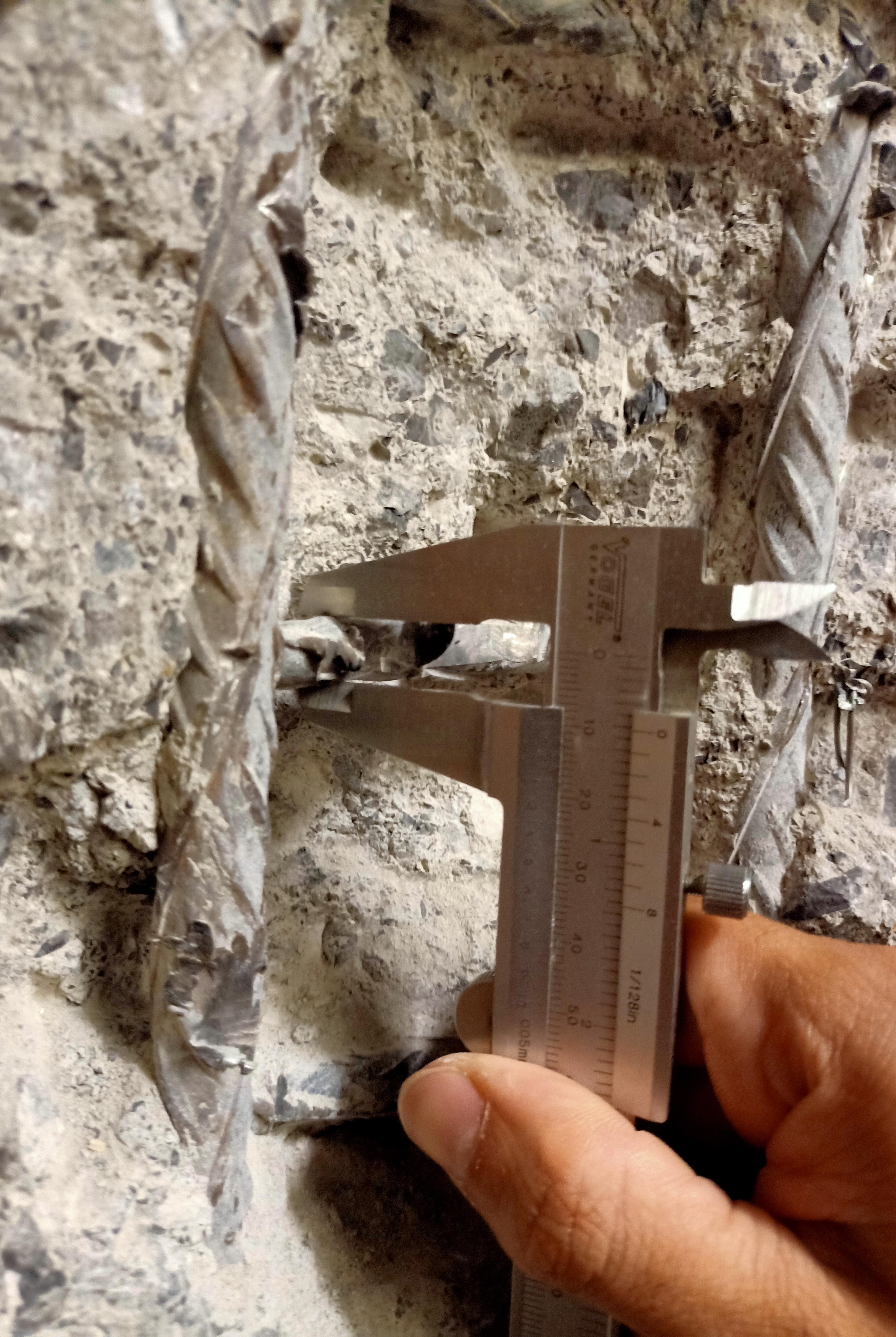 65042_3_Roger Meier.jpg