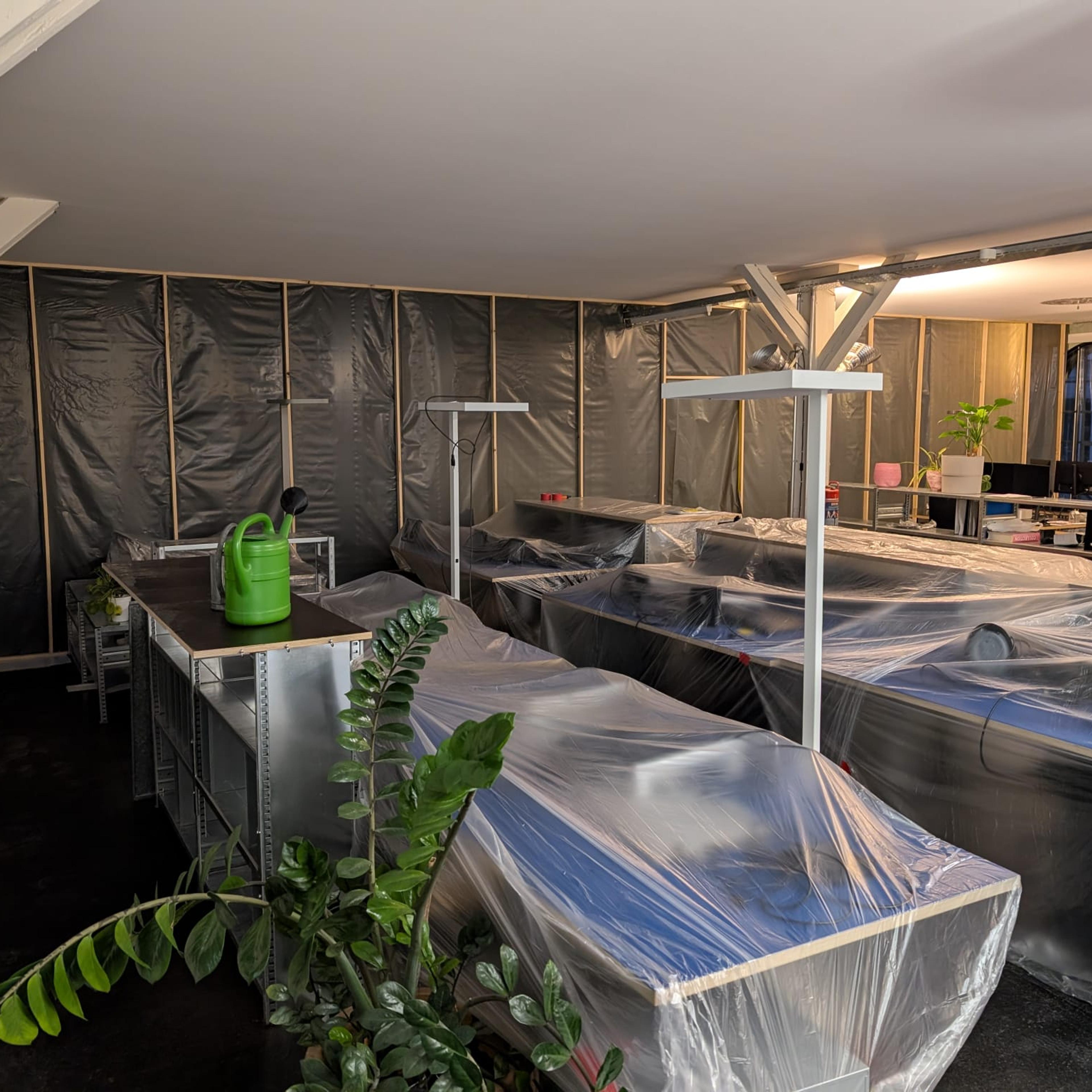 WhatsApp Image 2025-11-14 at 10.12.59.jpeg