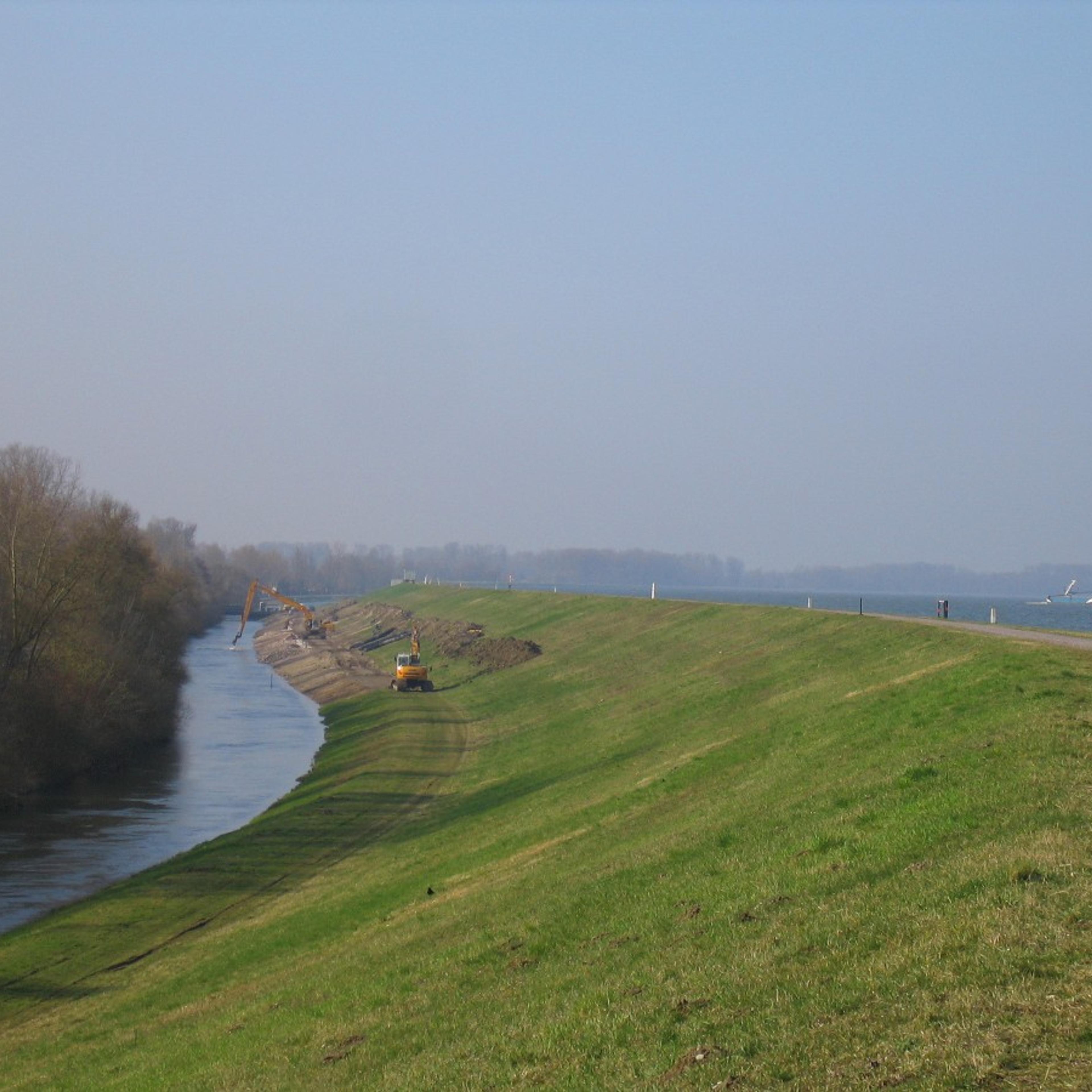 56331_Rheinseitendamm_Sanierung_cunbekannt_Thomas Weber.jpg