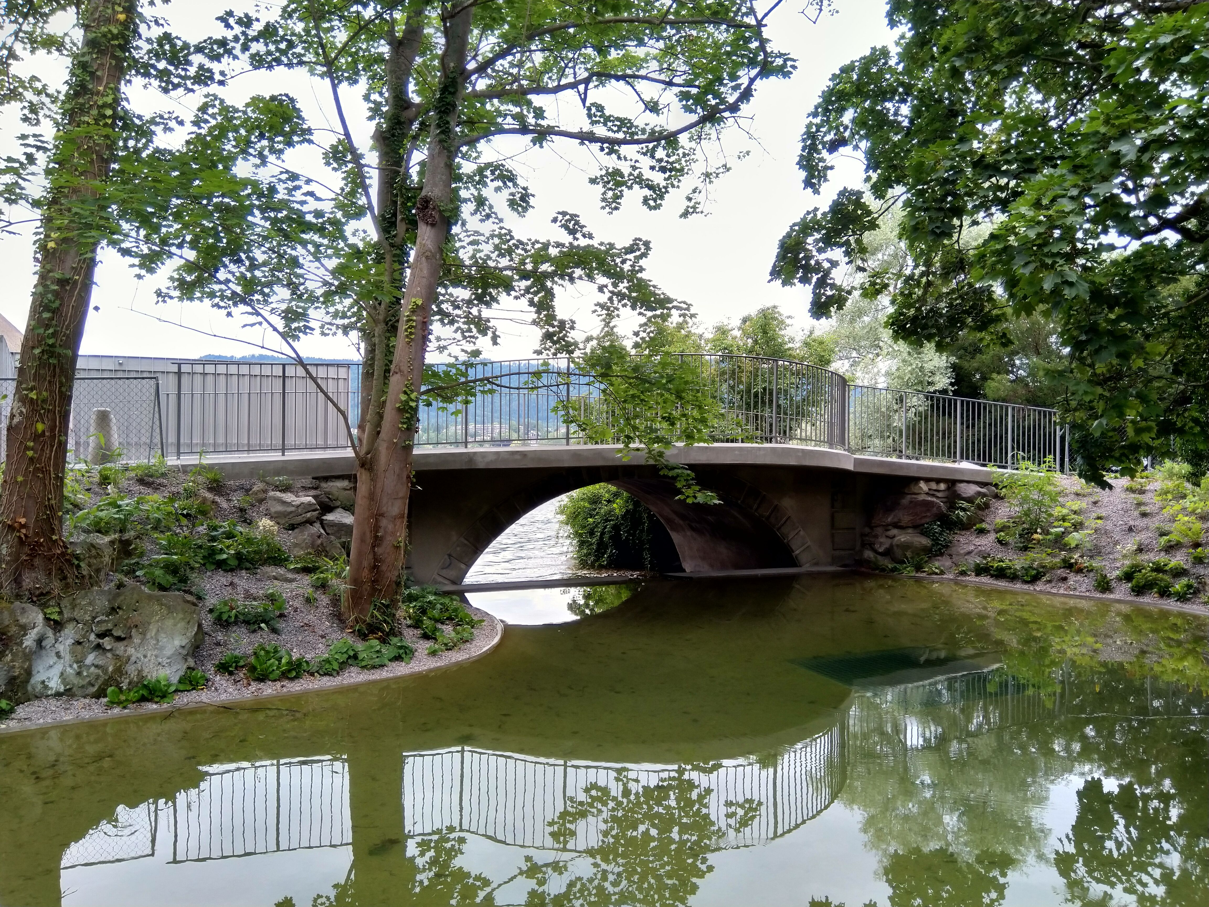 2638_IMG_20210705_122740_Roger Meier.jpg