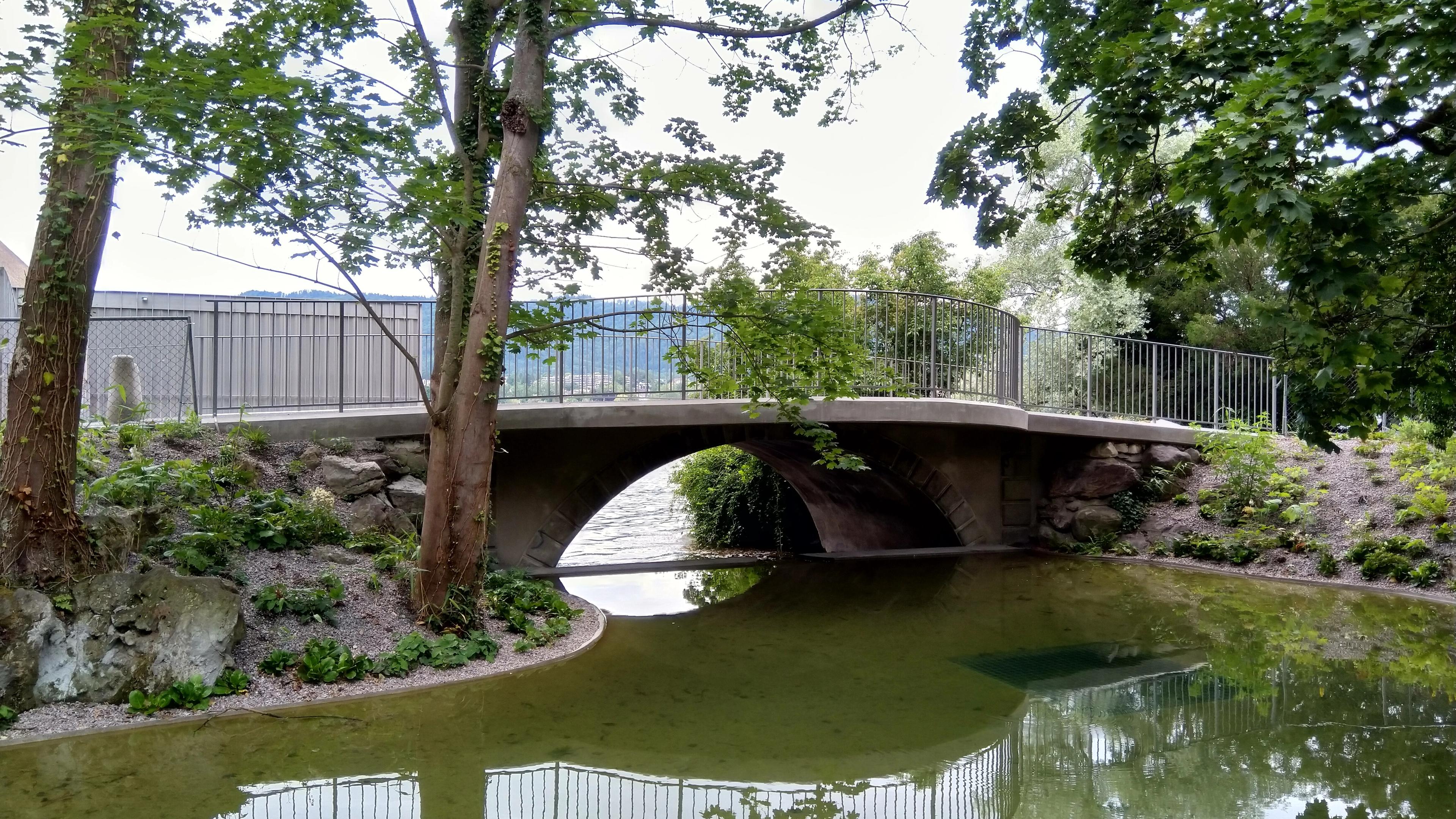 2638_IMG_20210705_122740_Roger Meier.jpg