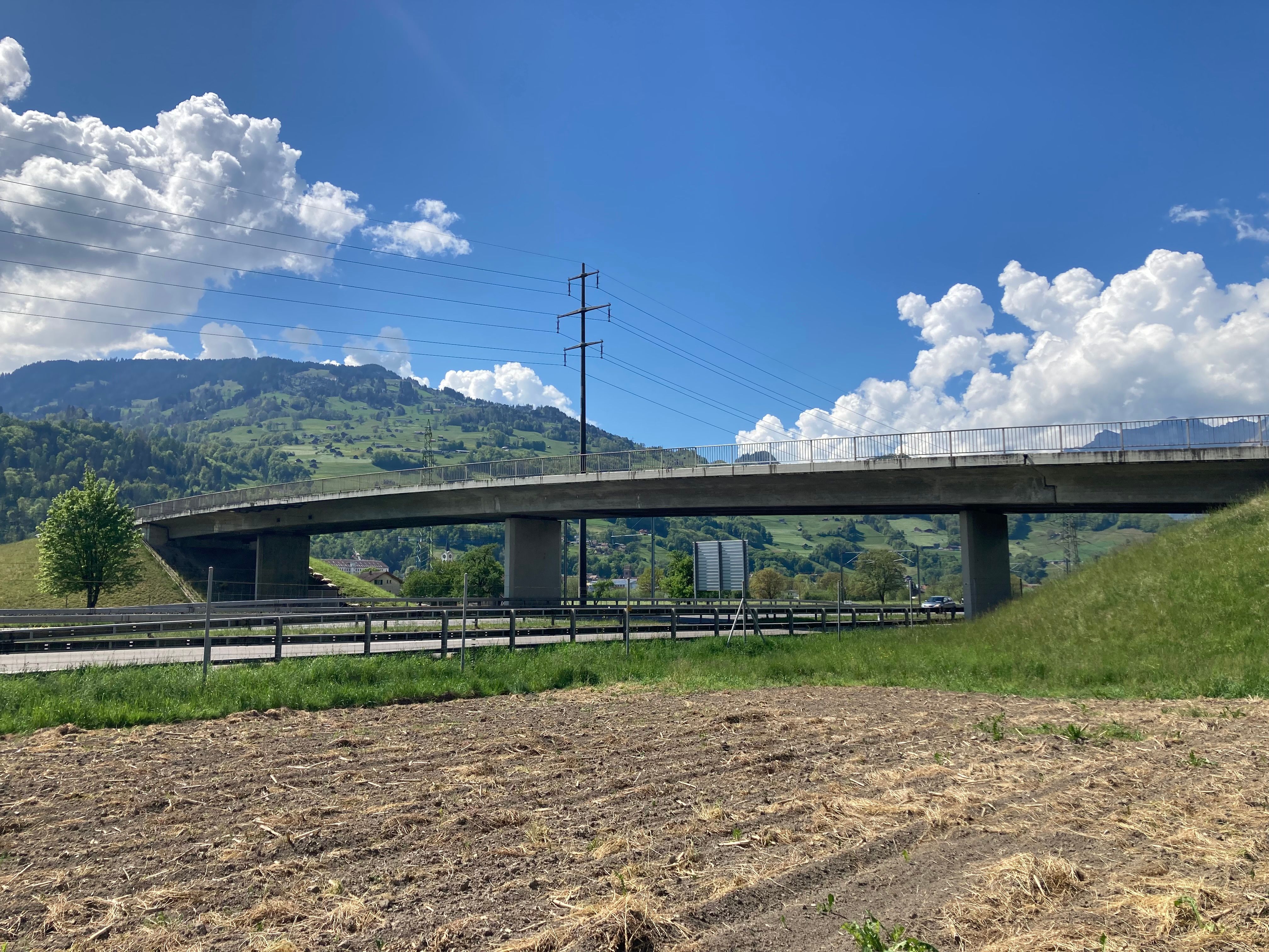 13111_IMG_2494_Roger Meier.JPG