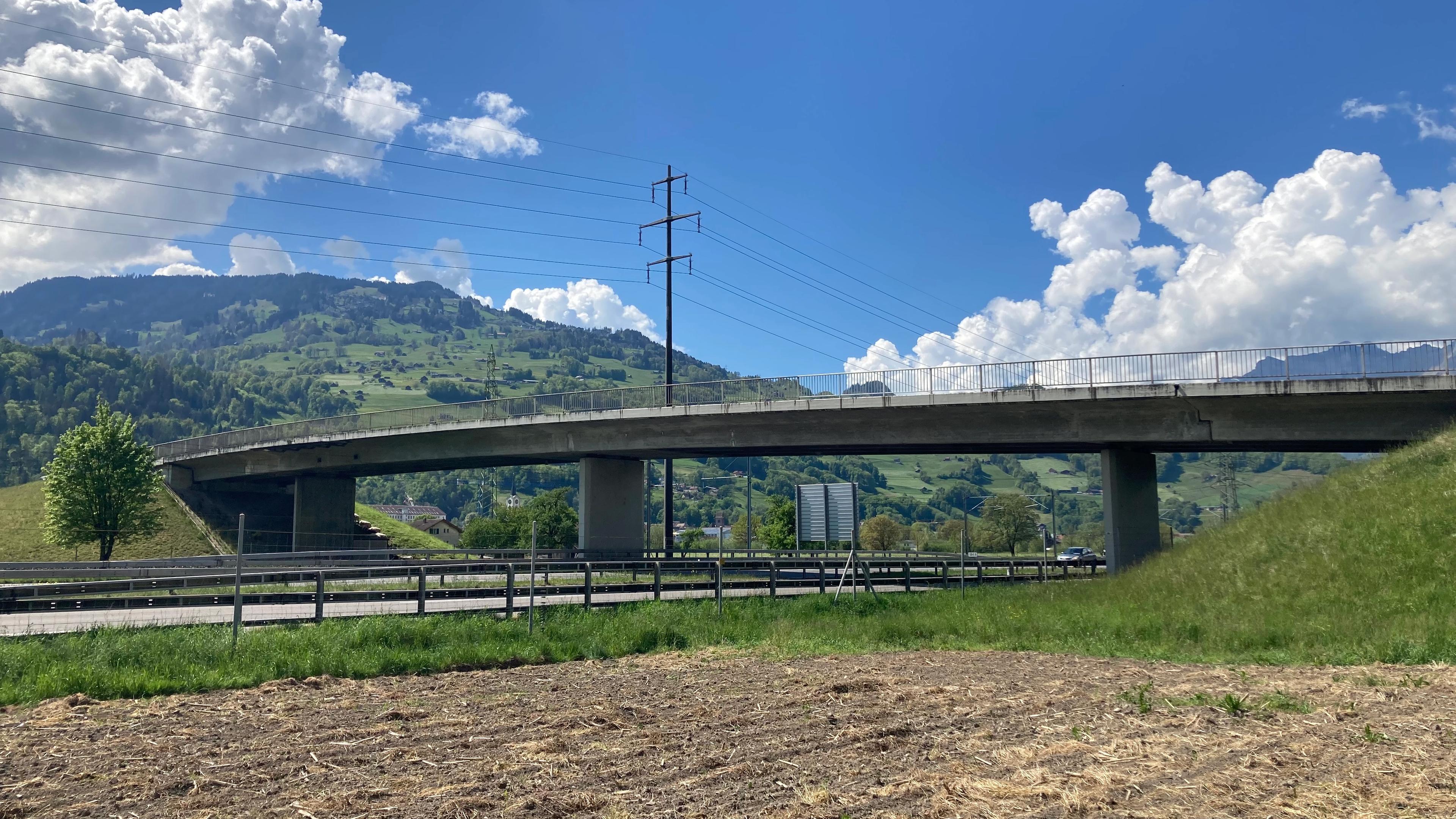 13111_IMG_2494_Roger Meier.JPG