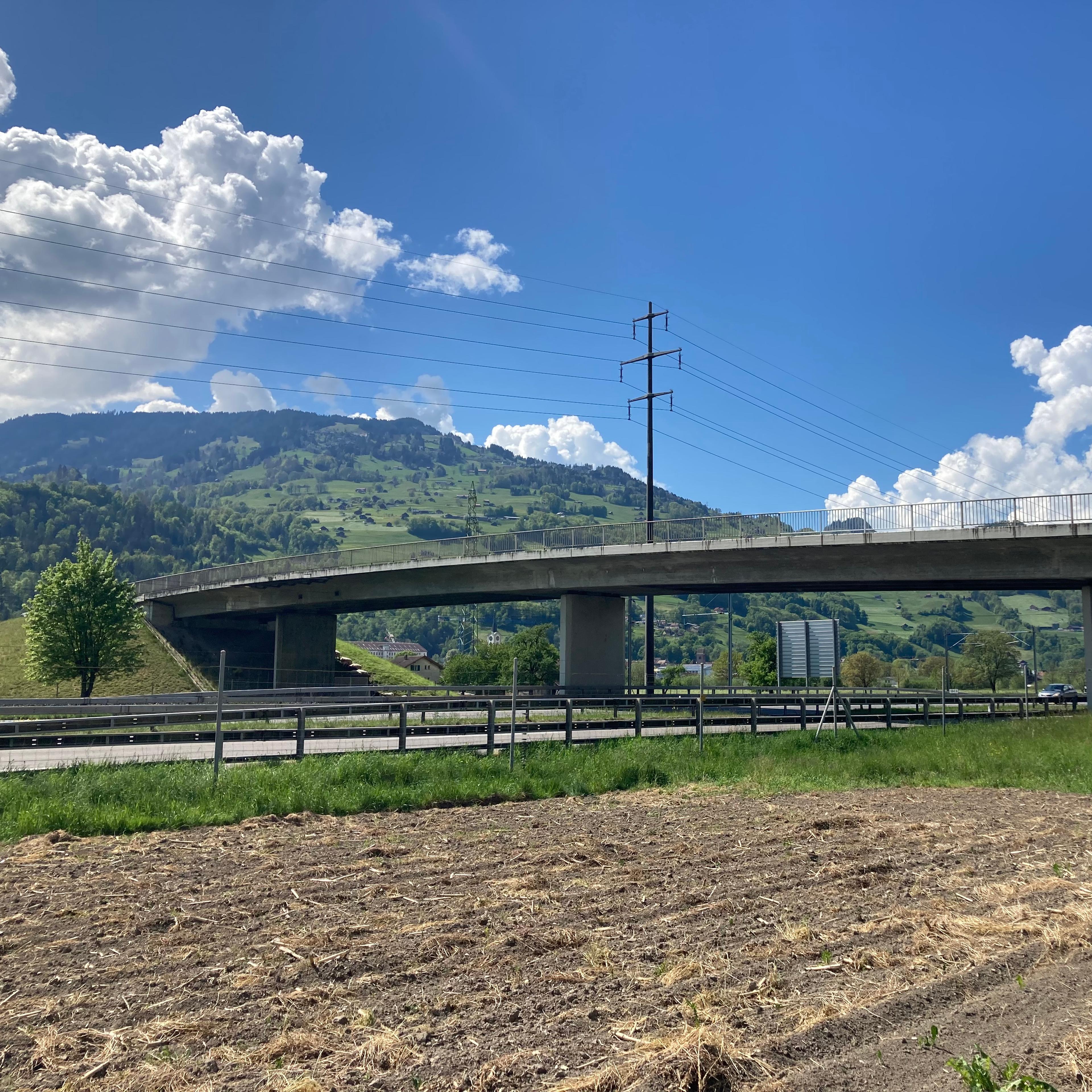 13111_IMG_2494_Roger Meier.JPG