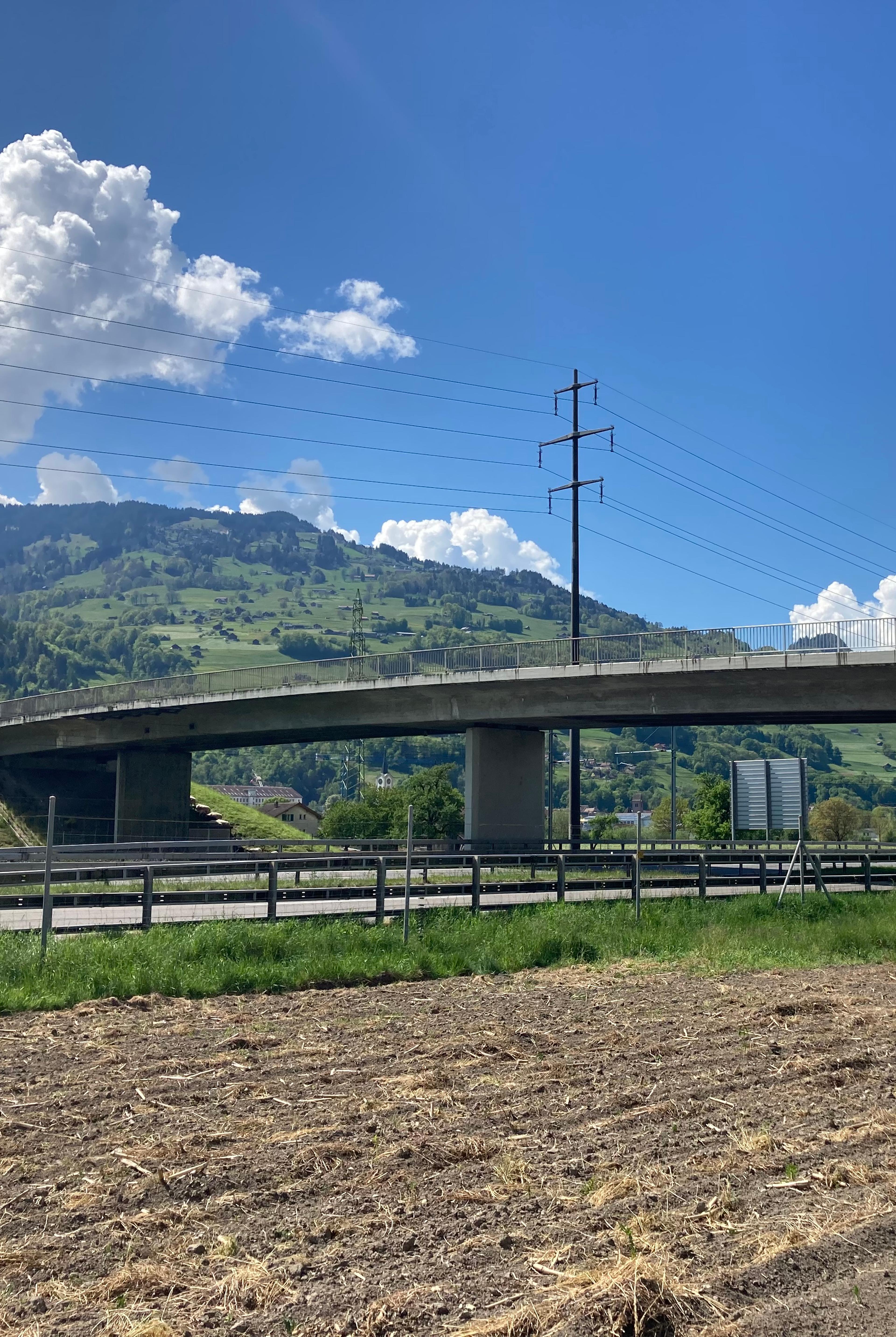 13111_IMG_2494_Roger Meier.JPG