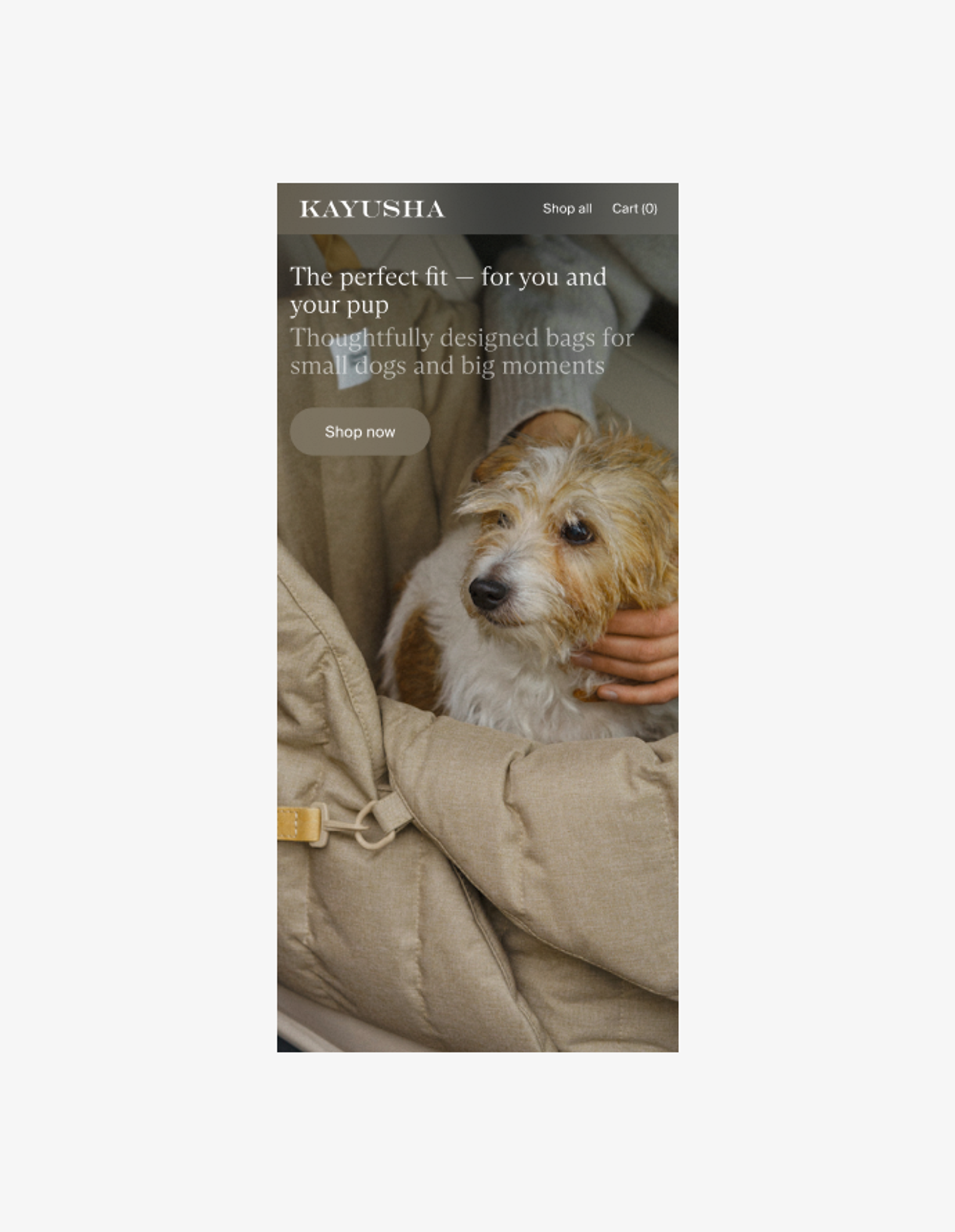 Mobile hero — Kayusha landing