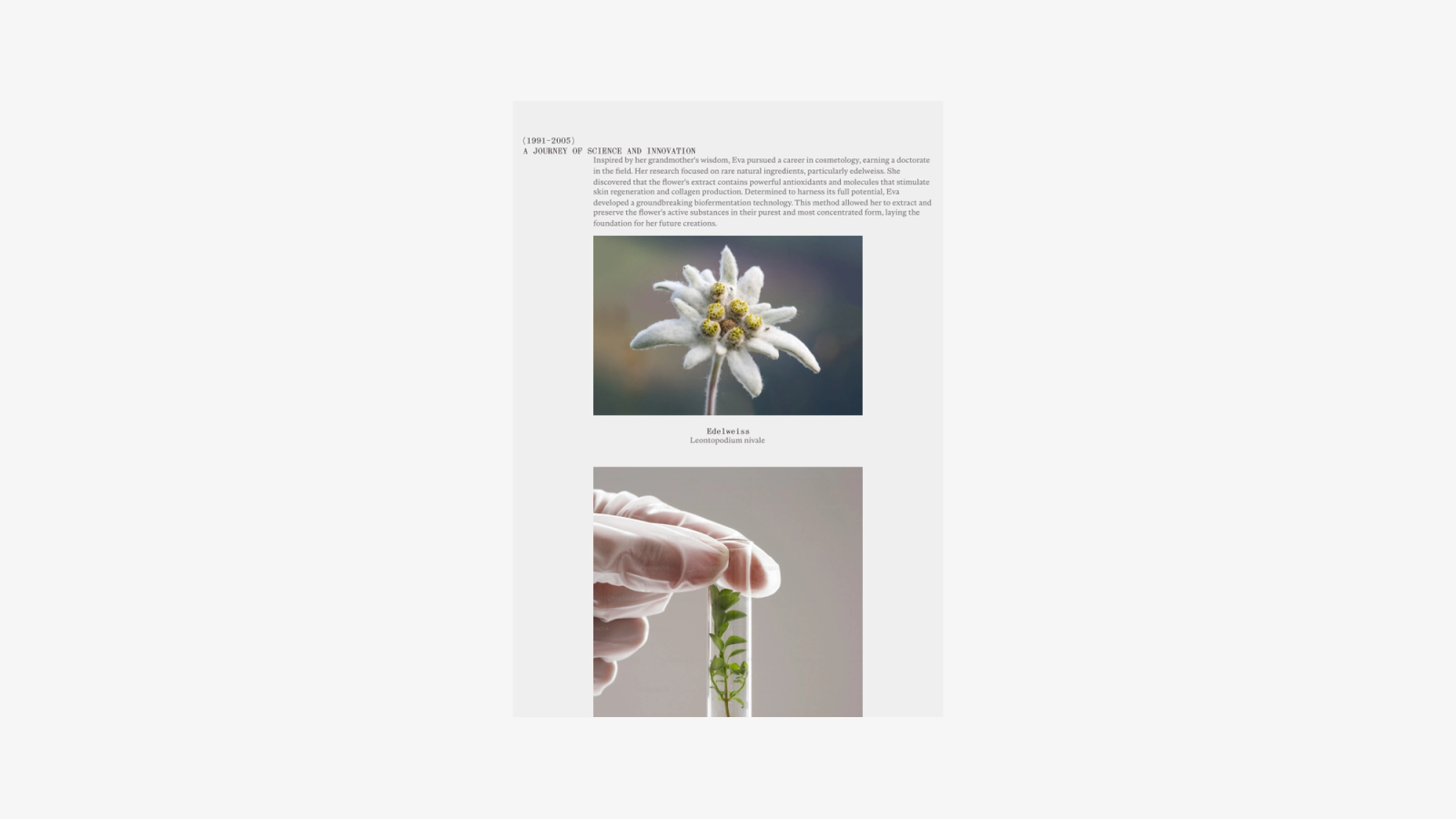 Brand-story page — Science and Innovation essay